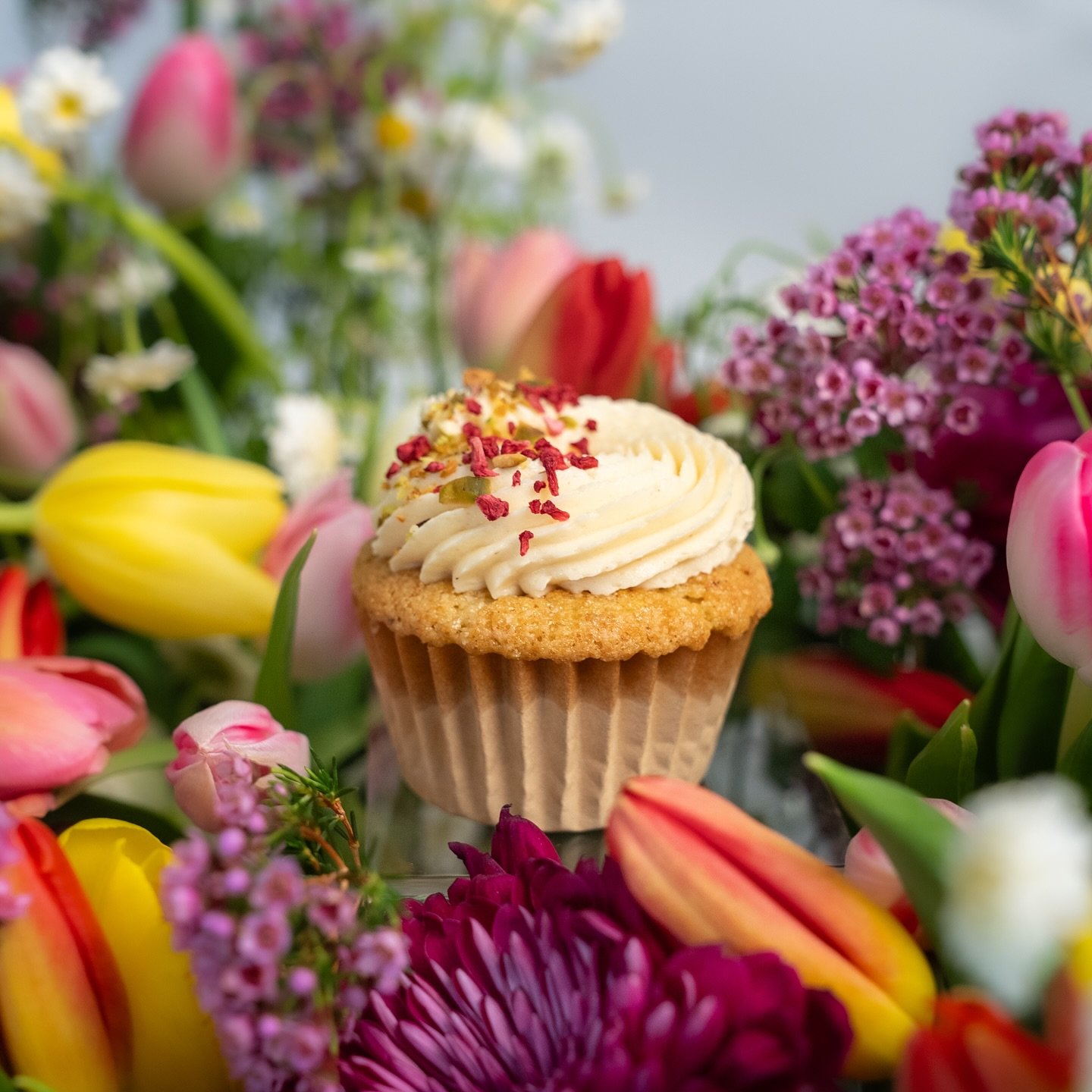 Back in Full Bloom 🌸

Our fan-favorite, The Spring Fling cupcakes, are here for a limited time!
Available in 6- or 12-packs, these seasonal treats feature: Lemon Pistachio Olive Oil Cake, Raspberry Jam Filling, Brown Butter Swiss Meringue Buttercrea