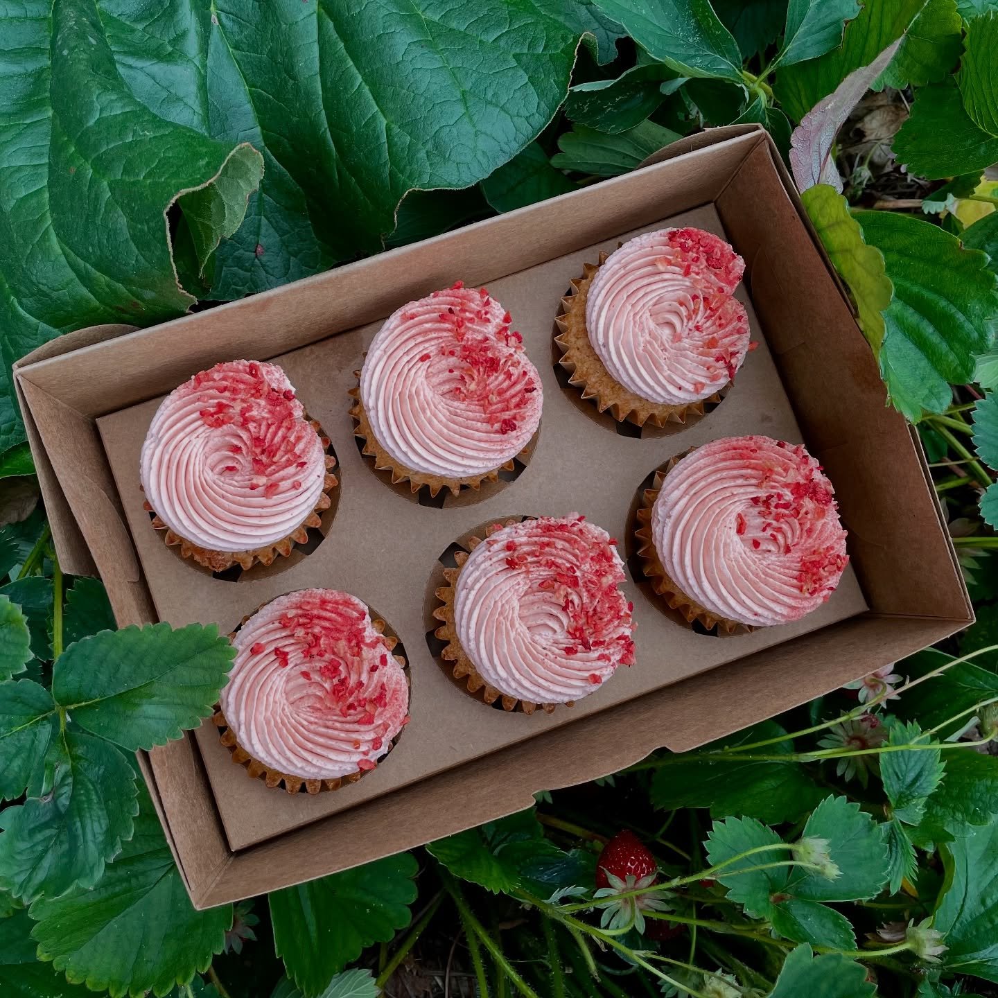 Celebrate Sunny Season!

With Your Summertime Favorite: The Garden Box Cupcakes ☀️🍓

The Details: Yellow Buttermilk Cake - Strawberry Rhubarb Jam Filling - Strawberry Rhubarb Swiss Meringue Buttercream - Freeze-Dried Stawberries

✨Available for a li