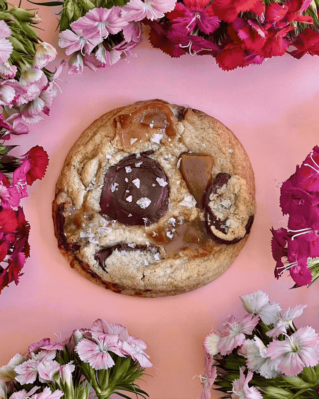 2026_Spring Cookies_GIF.gif