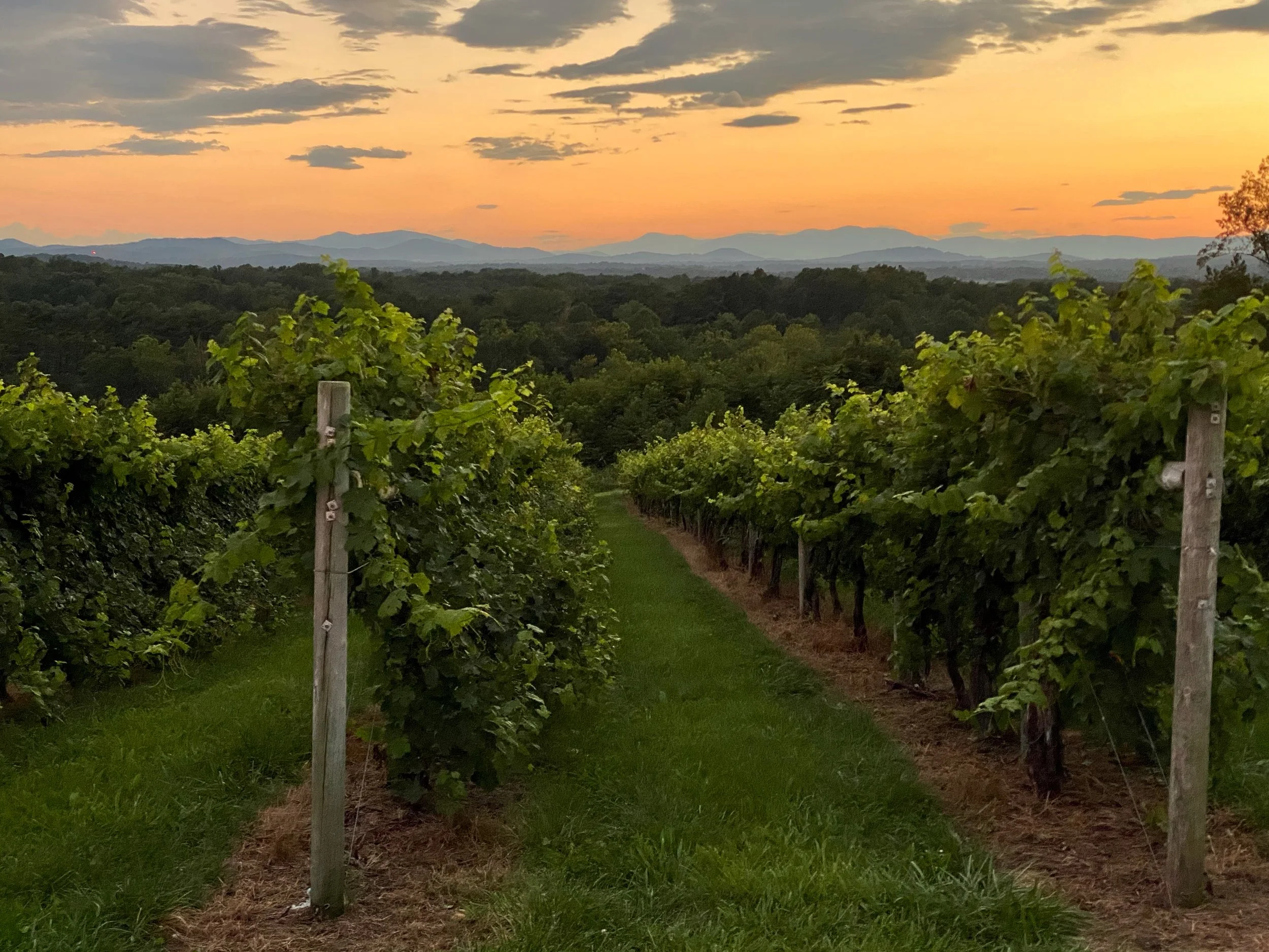 Harvest Update 2026