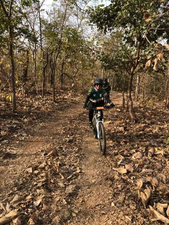 Pedal to Jungle9.jpeg