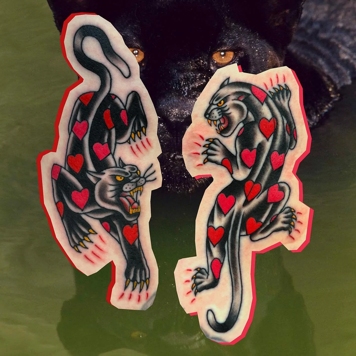 Panthers for Sarah! Thanks!!! Done @secretdoor_studio #tattoo #oldschooltattoo #traditionaltattoo #panthertattoo #dublin #gerfertattoo