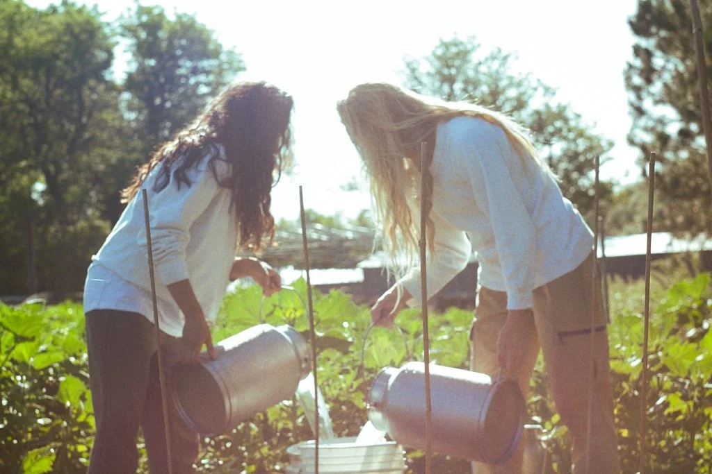 A Year in Flax: 2025 Season Overview