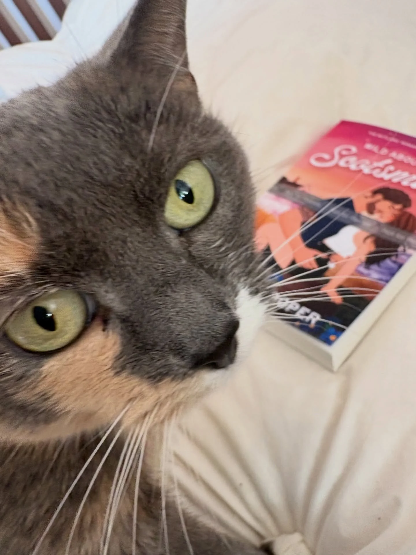 Woof and the proof. &ldquo;I have to do what now? Promote it? Say it ain&rsquo;t so!

It is so. Now start by looking super cute with your green eye that are the same colour as the MMC&rsquo;s. 😍

#scottishromance #bookstagram #smalltownromance