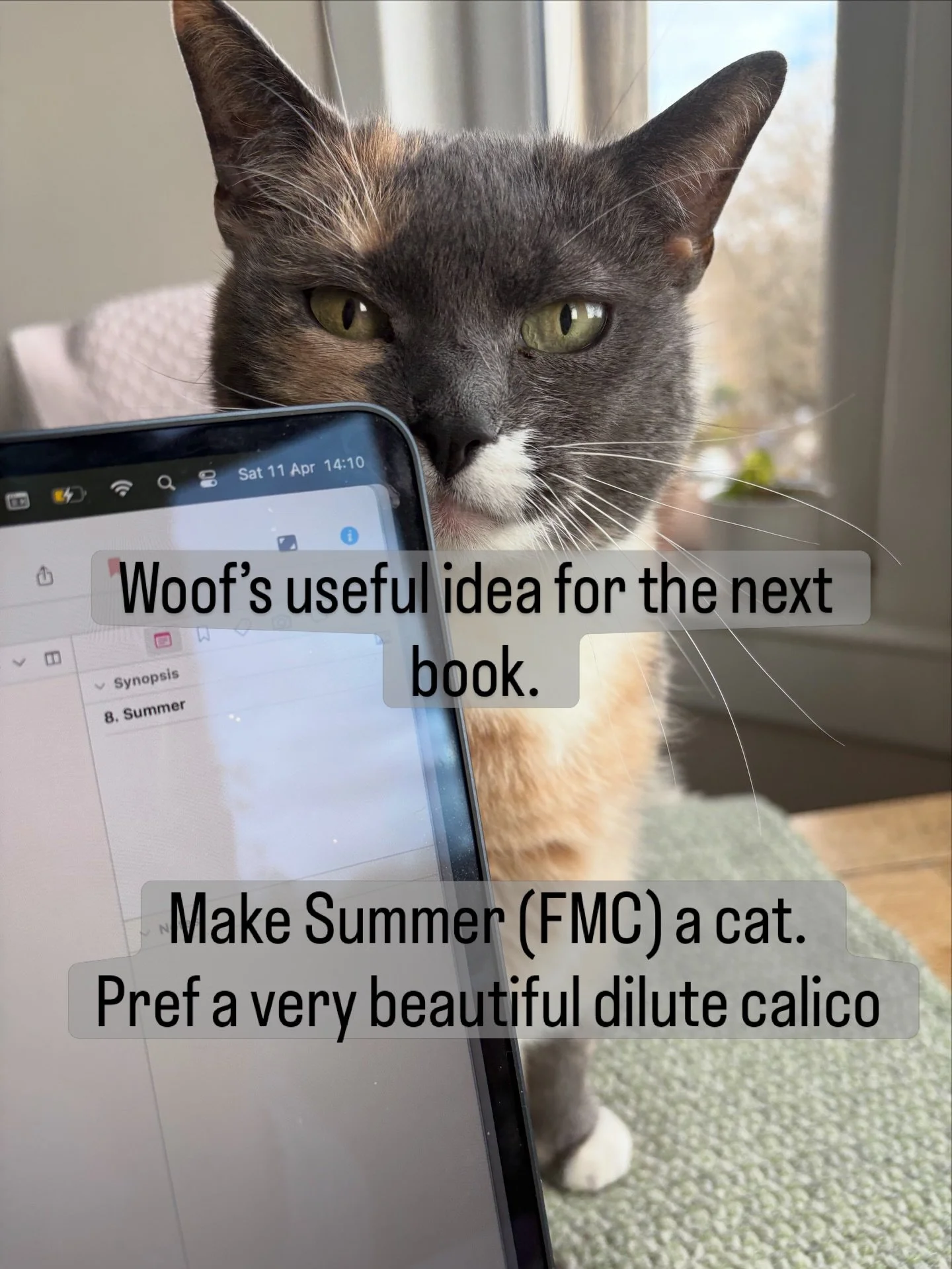 My helpful new assistant 💖