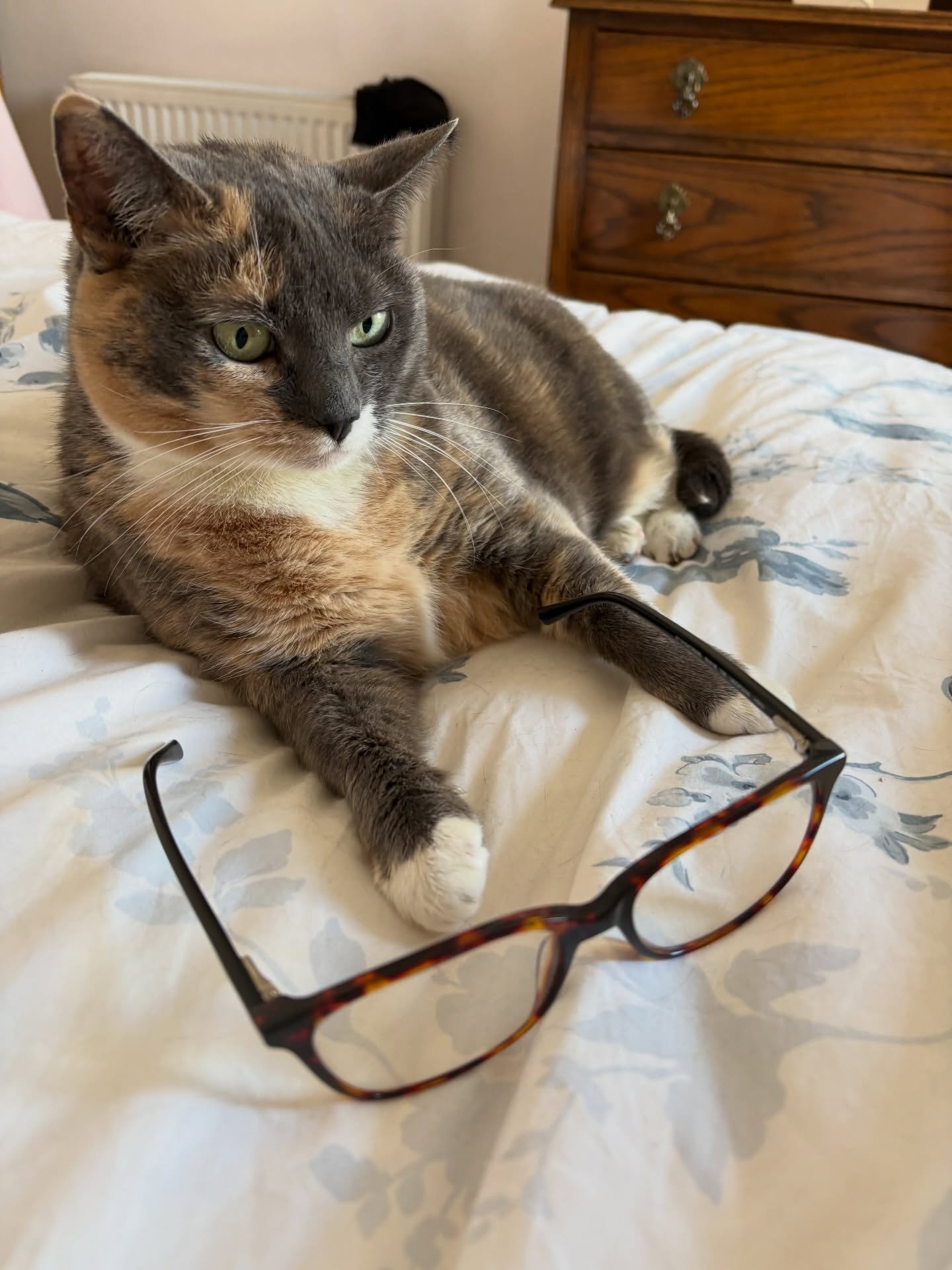 Thinking about how to fit two more spicy scenes, a third act break up that isn&rsquo;t really a break up, a wildcat ceilidh and an epilogue into the next 25k words. And how to do it all in the next week whilst napping 23 hours a day. It&rsquo;s a sai