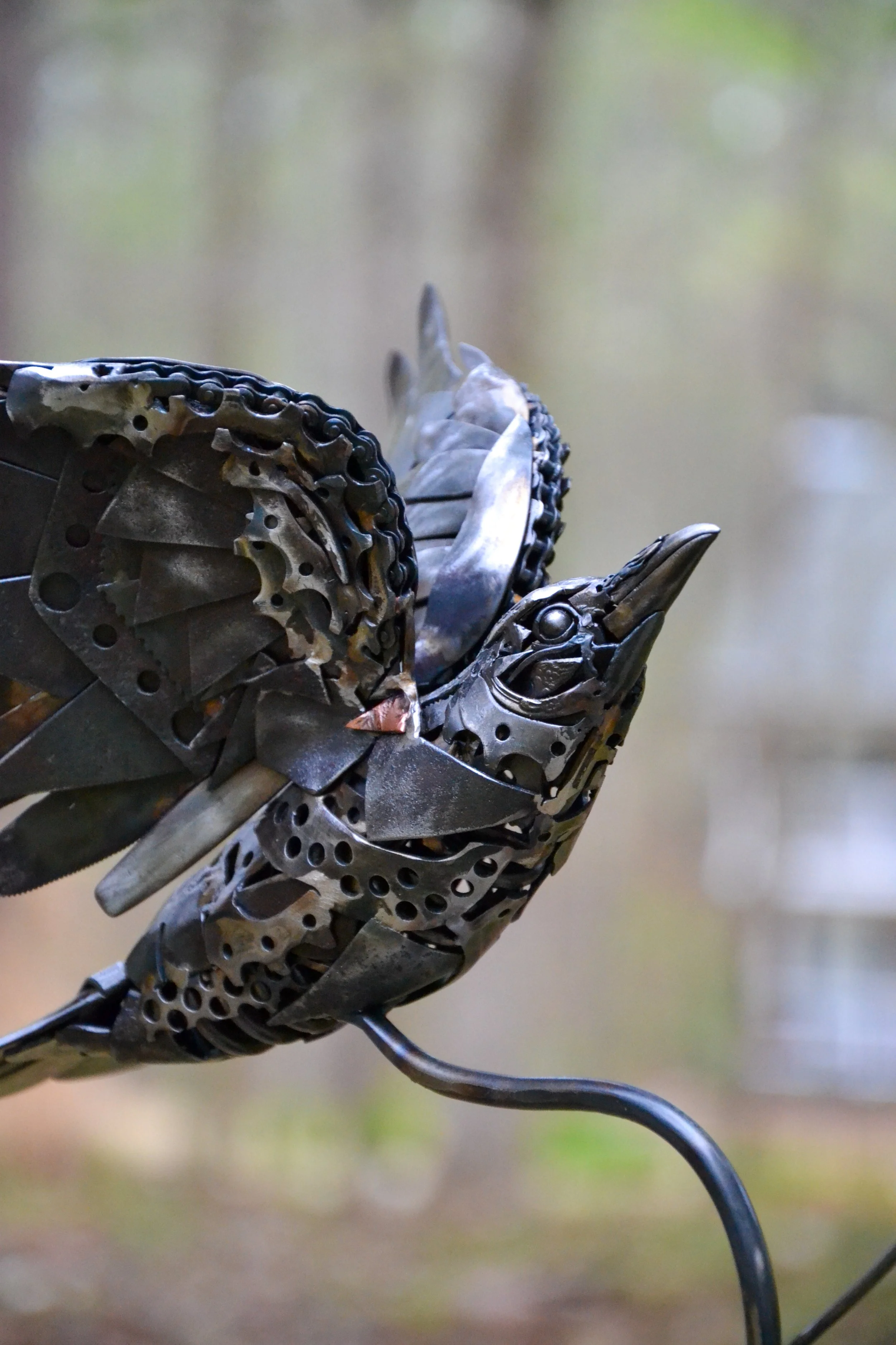 Crow+B-02.jpg