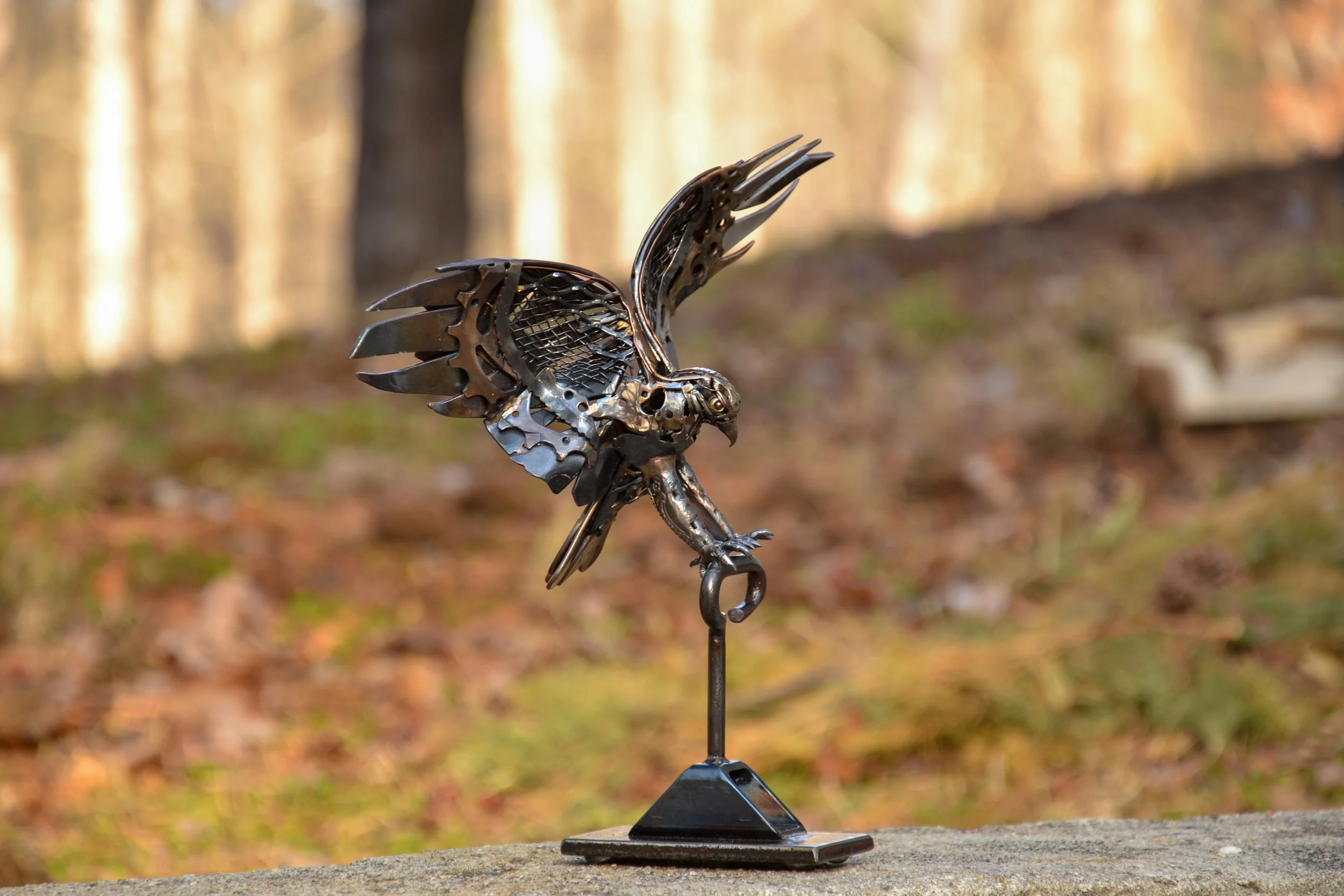 Landing Hawk-2.jpg