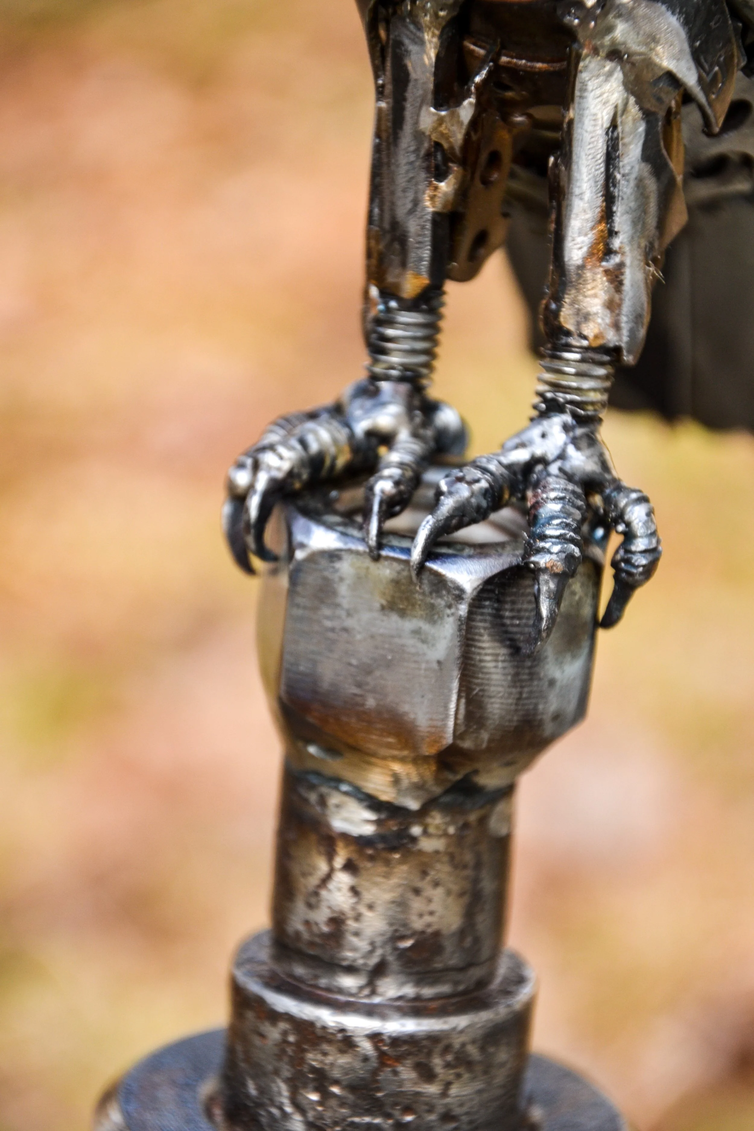 Crouched Hawk-09.jpg