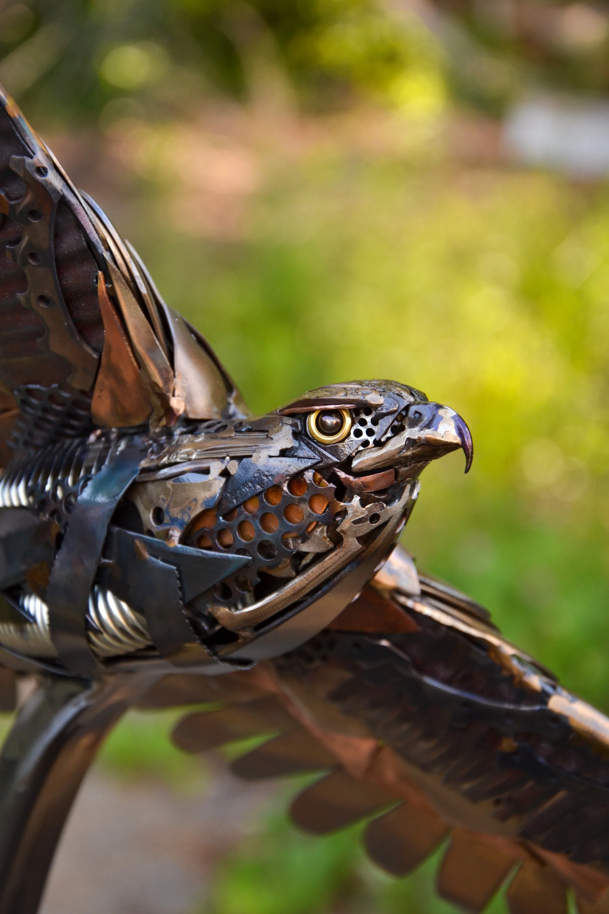 Hawk in the Hoop