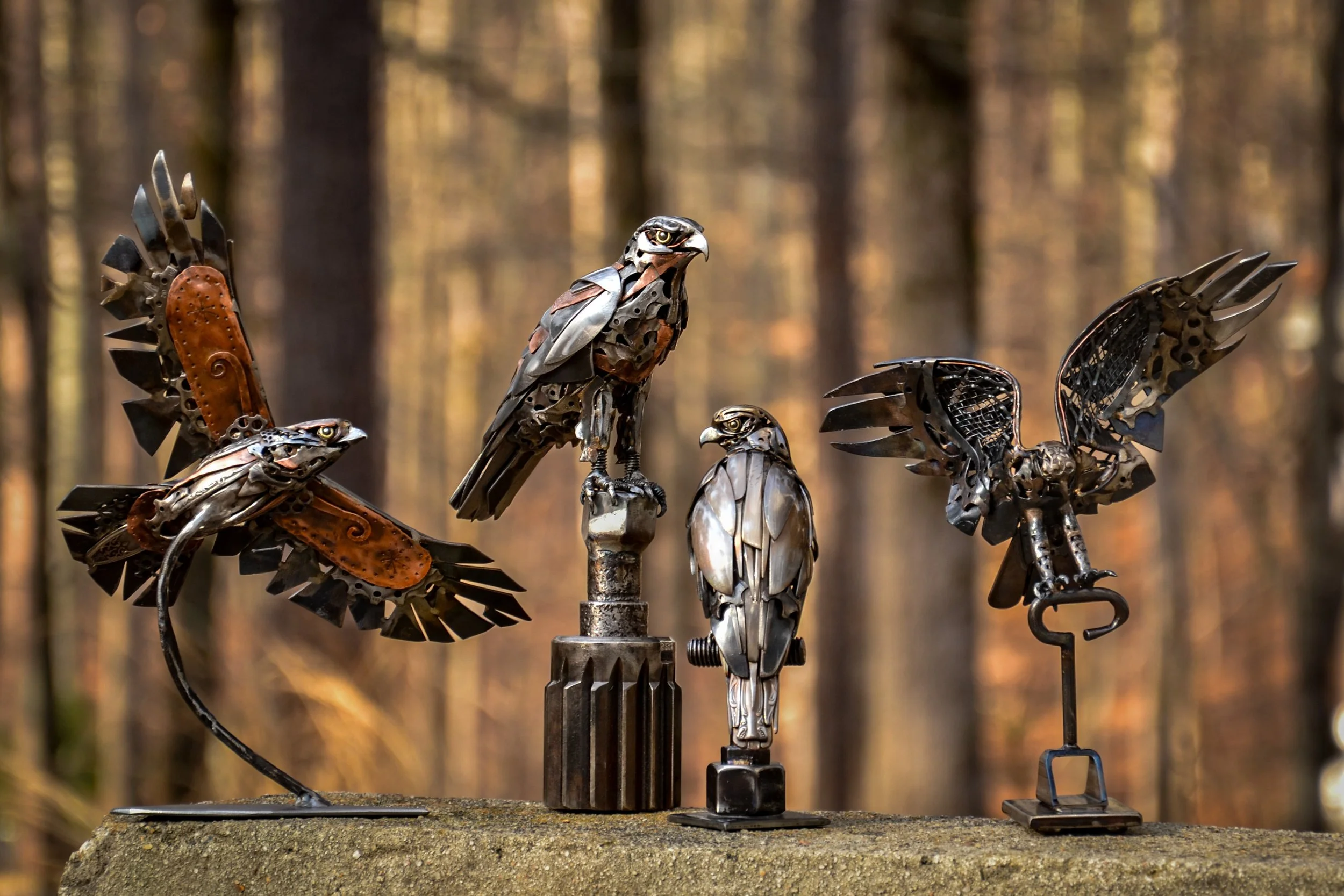 Hawk Series