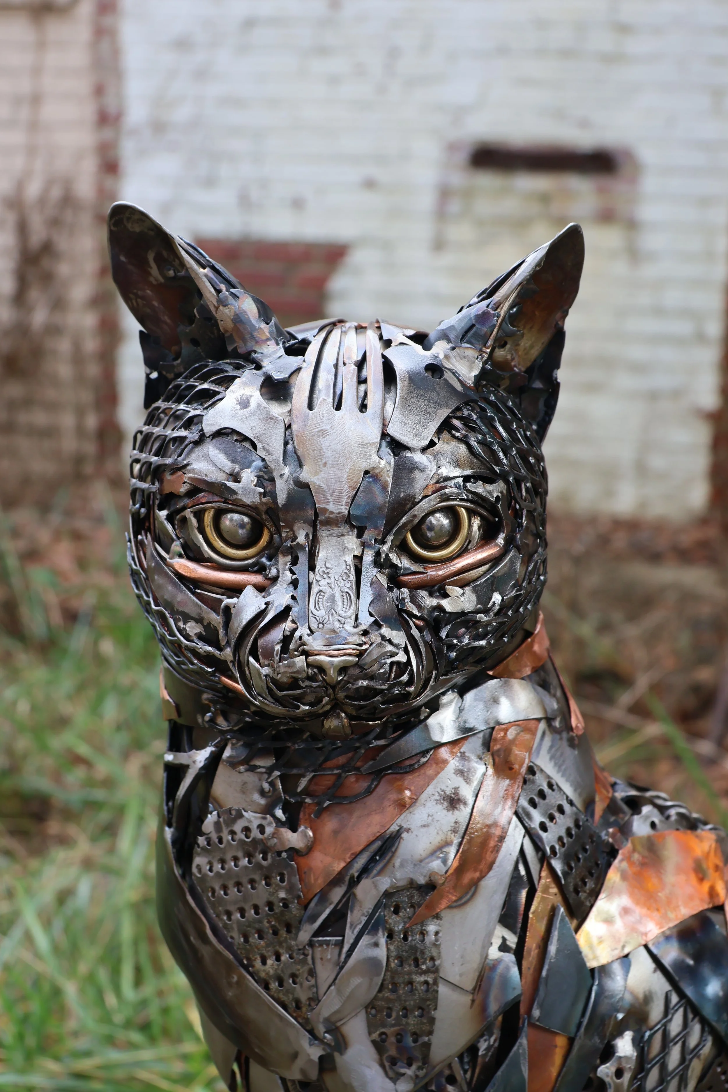 The Cat