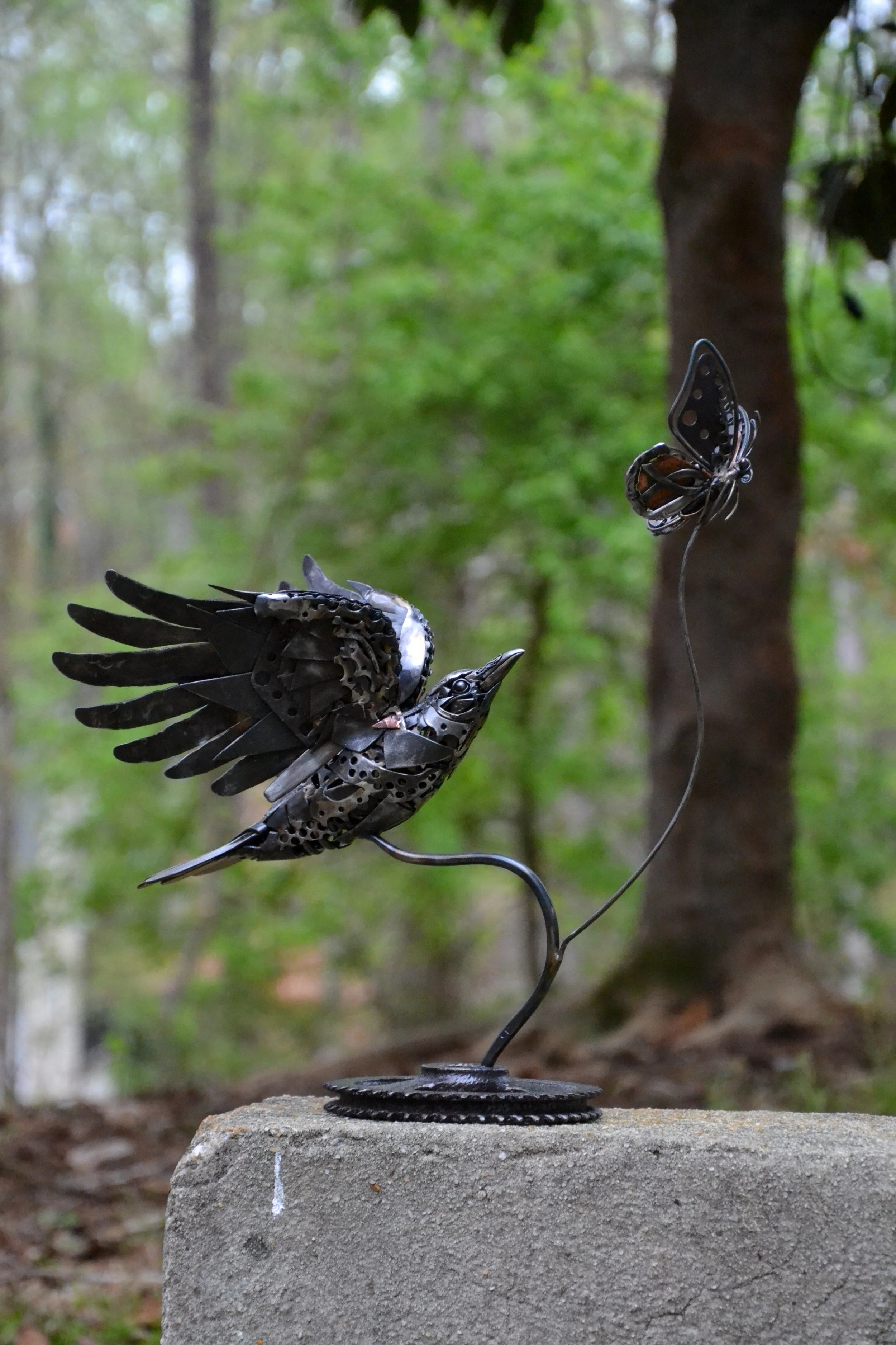 Crow and the Butterfly