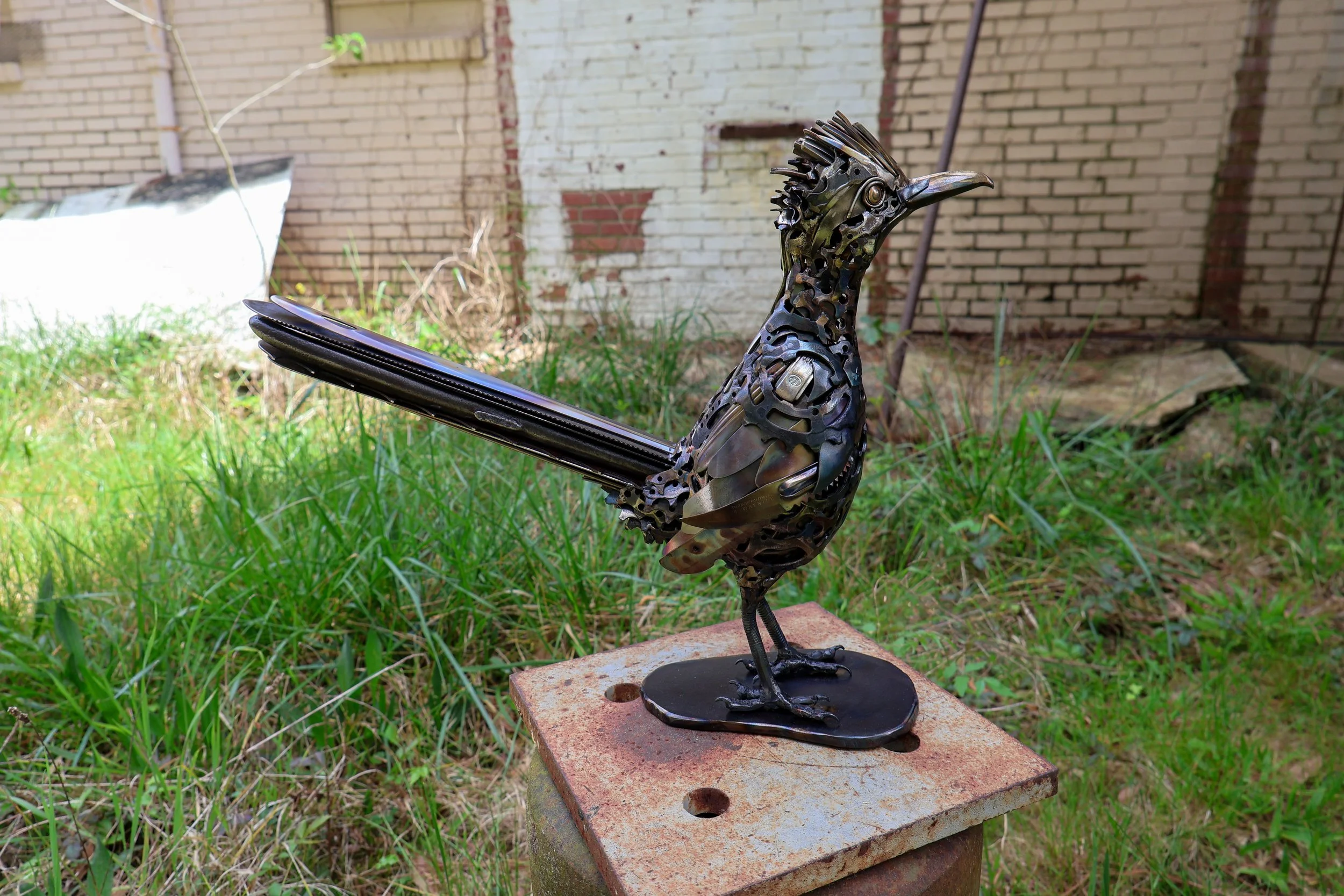 Road Runner-09.jpg