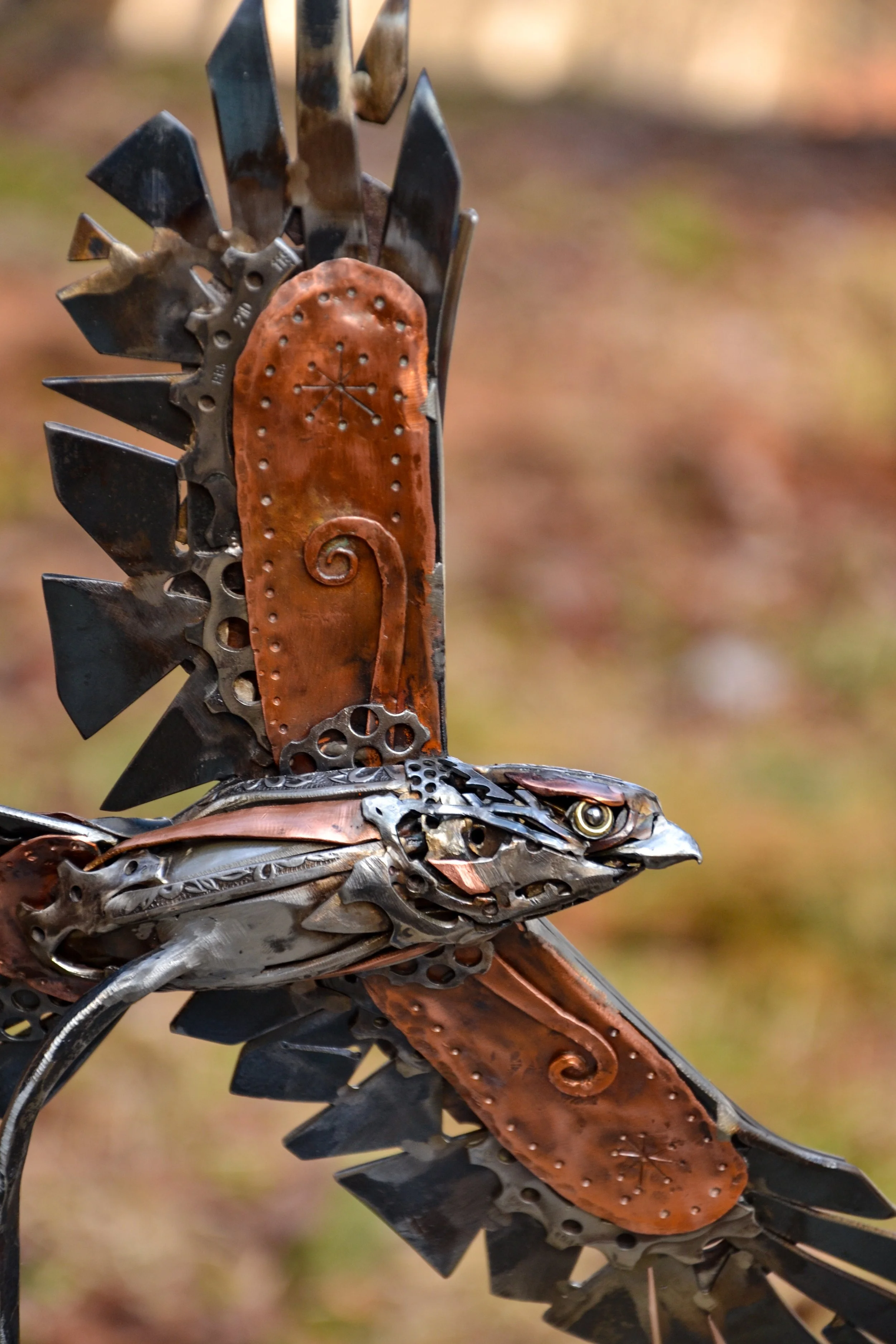 Flying Hawk-02.jpg