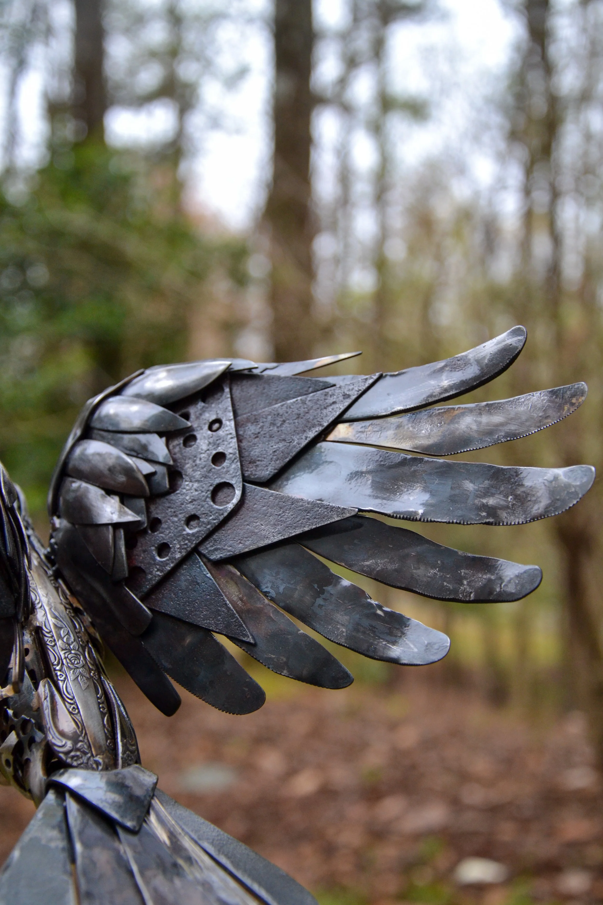 Crow+B-08.jpg