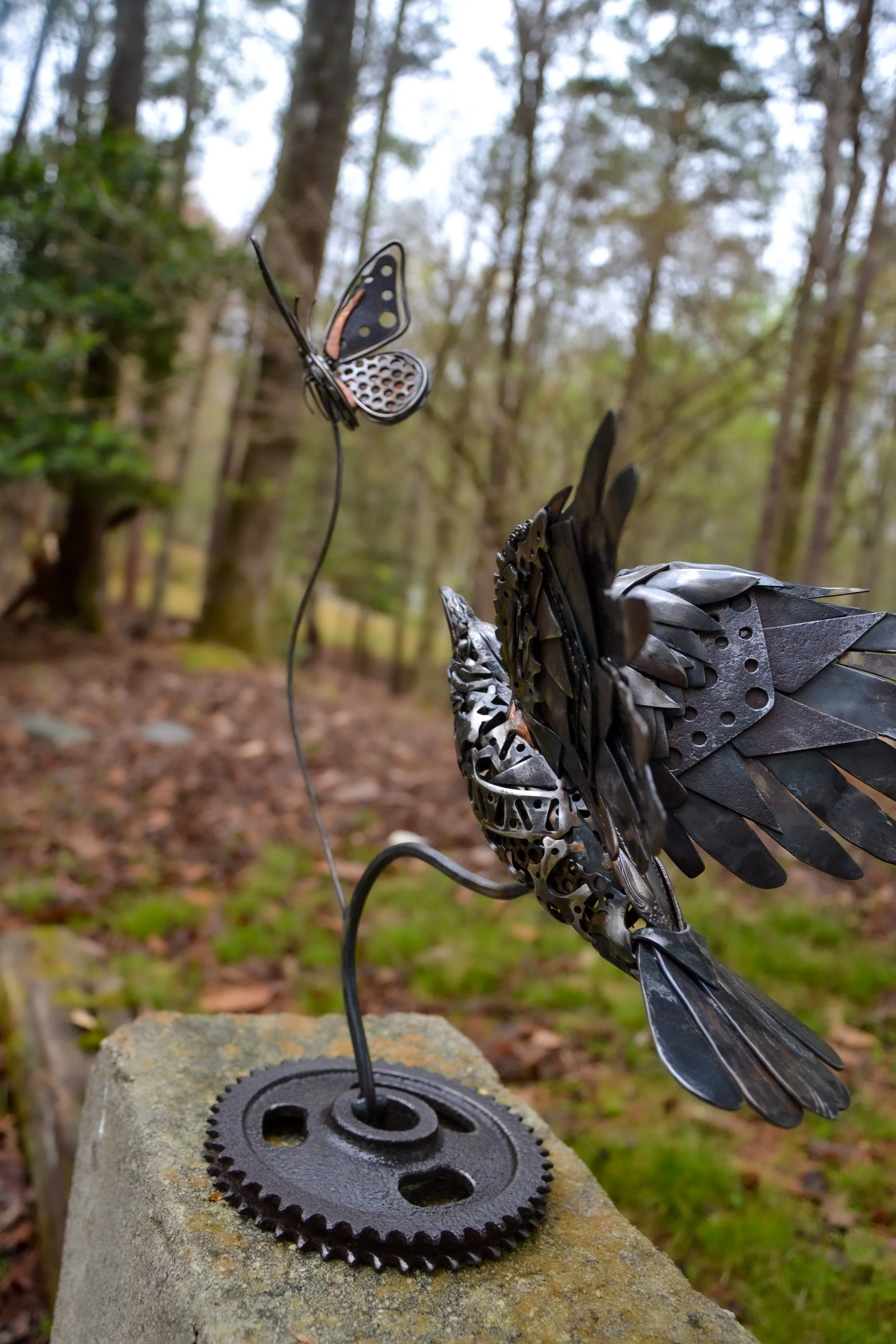 Crow+B-09.jpg