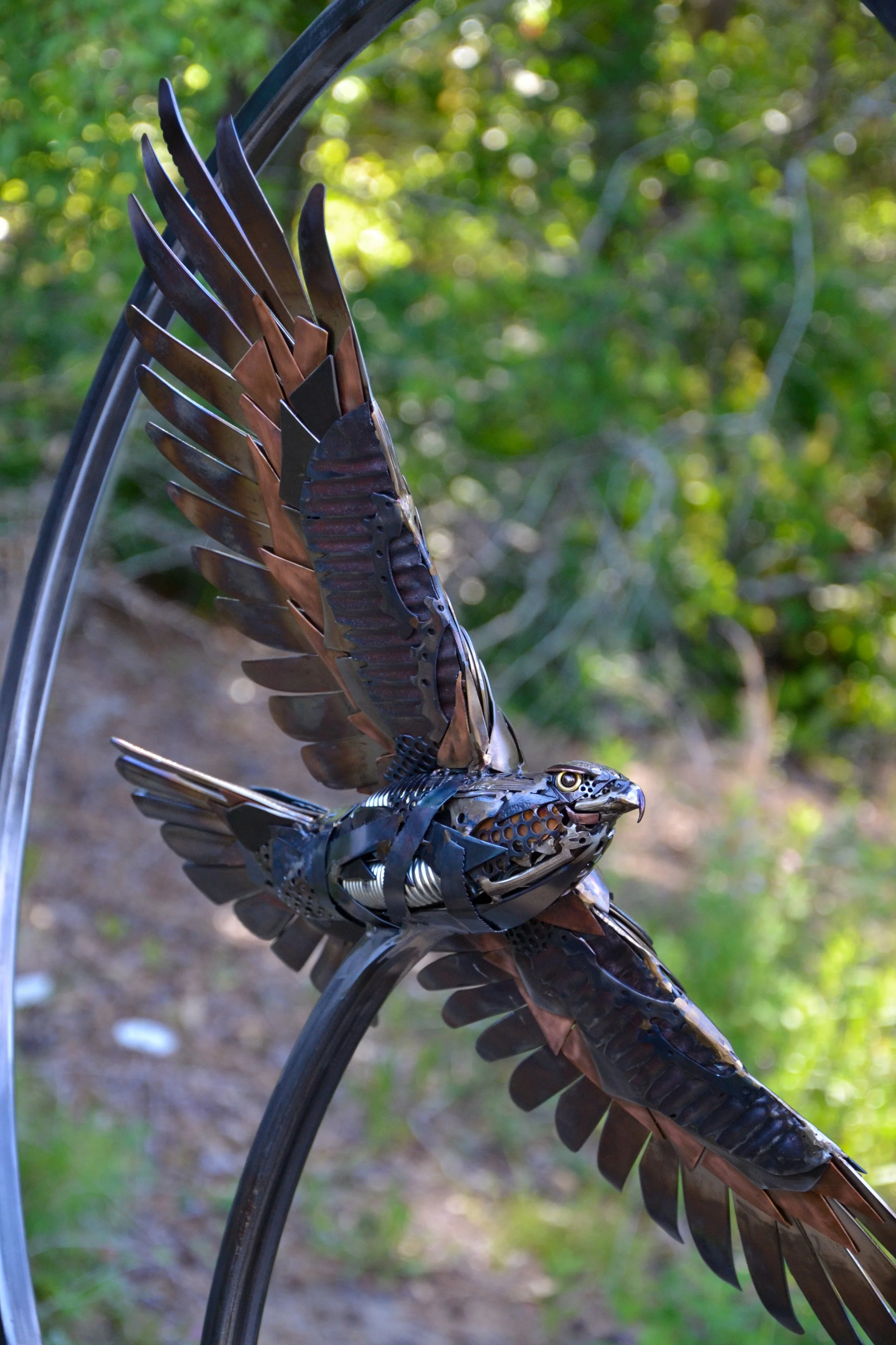 Hawk in Hoop-09.jpg