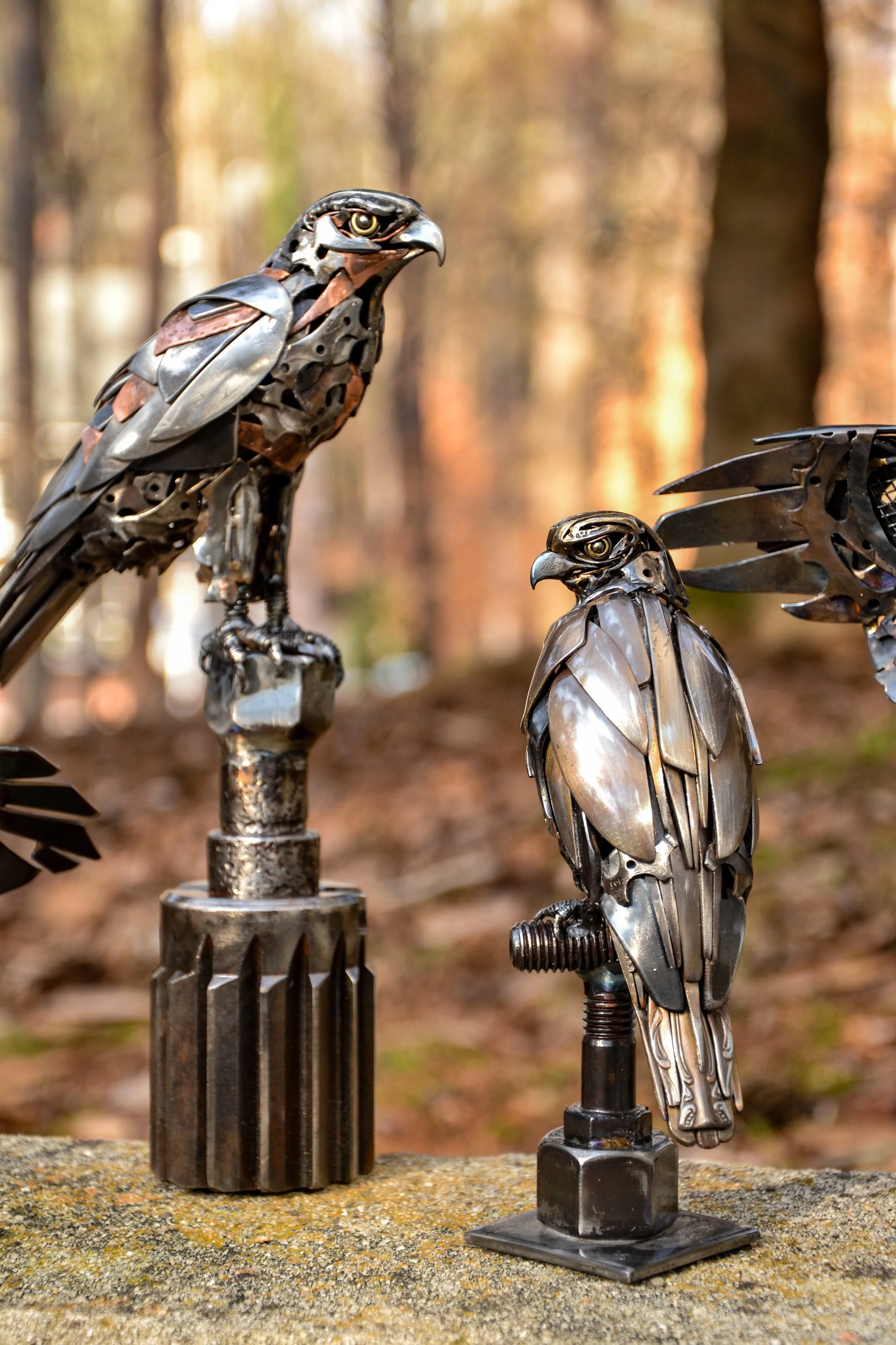 Group Hawks-1.jpg