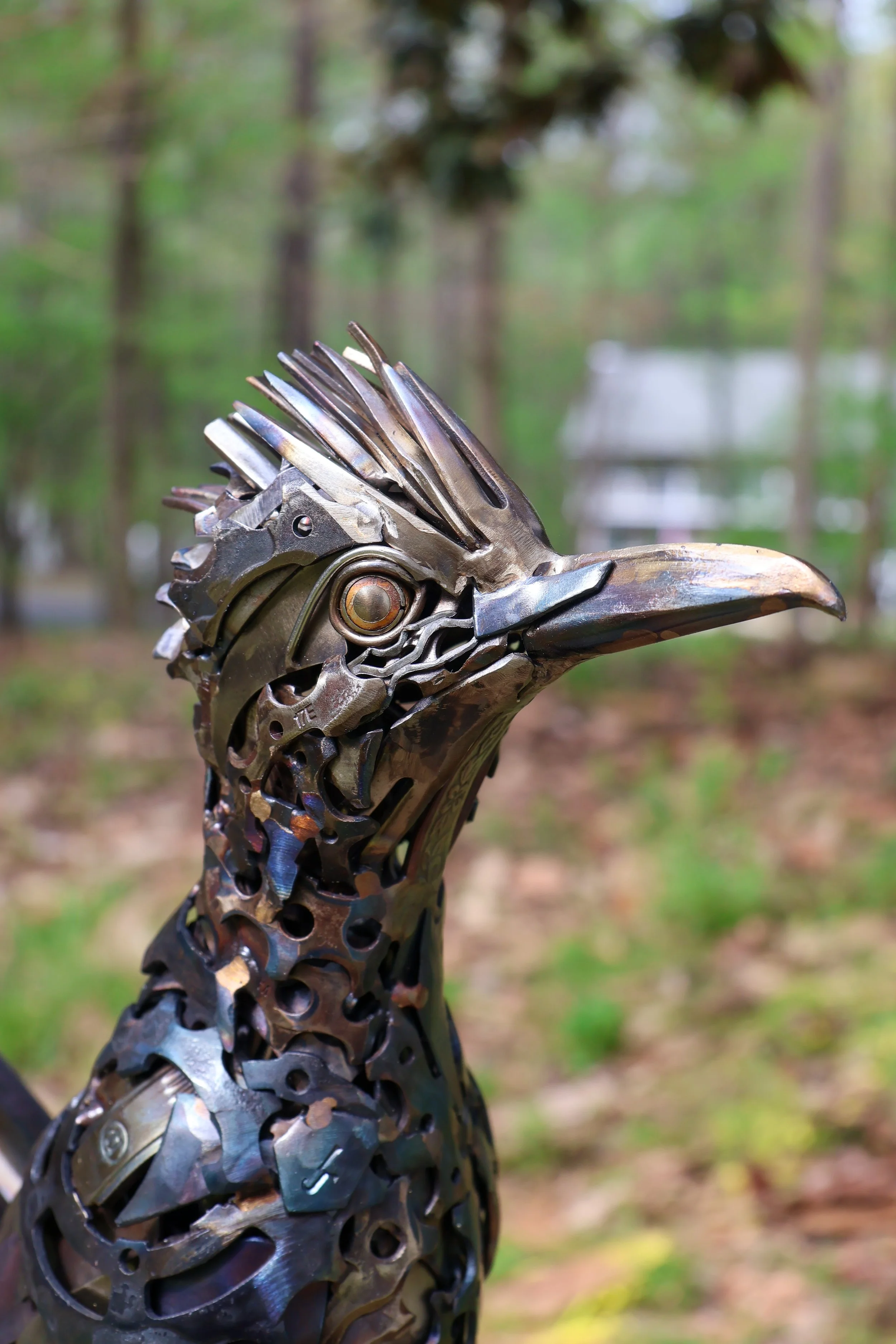 Road Runner-16.jpg
