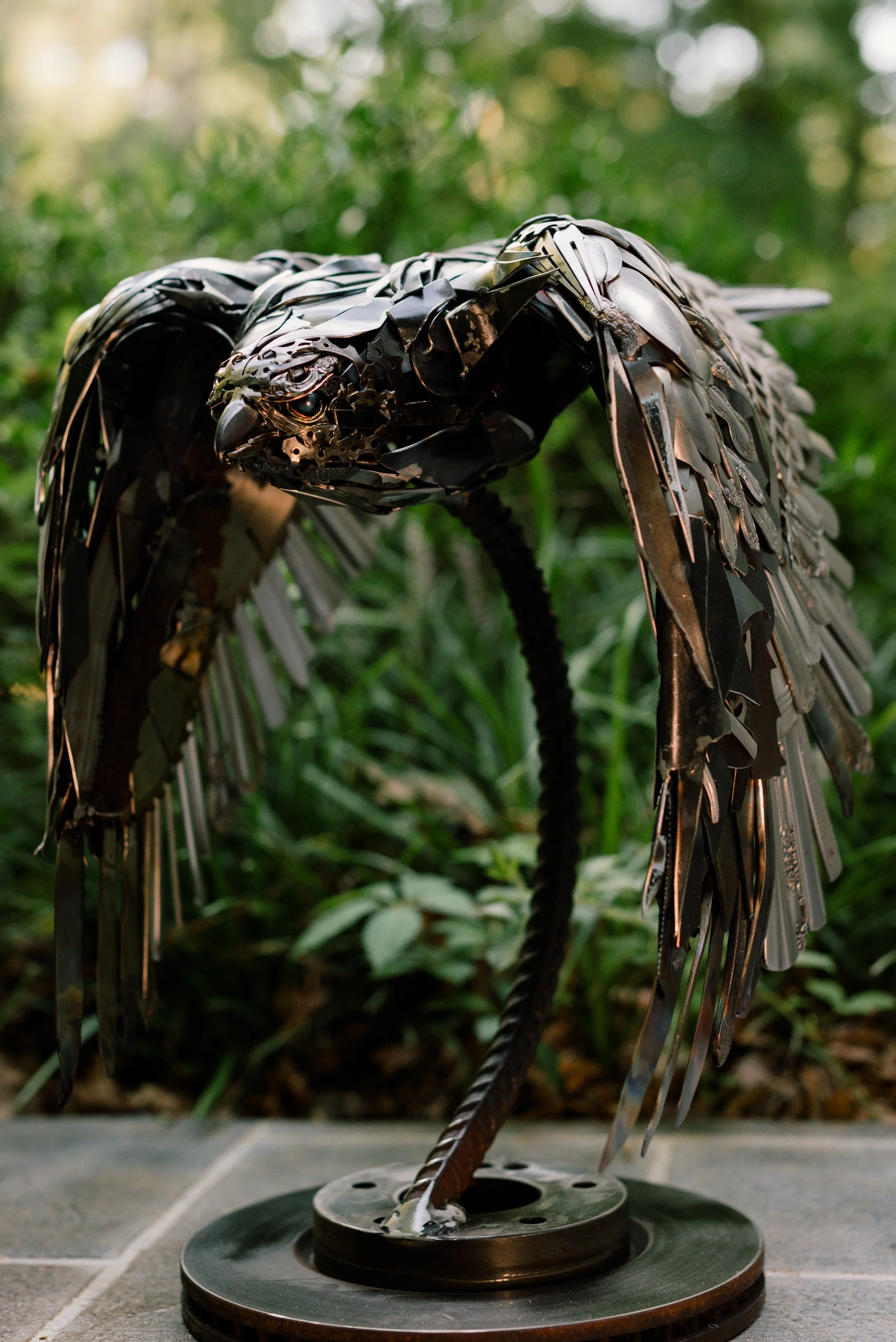 Buised Reed Large Hawk — Bruised Reed Studio