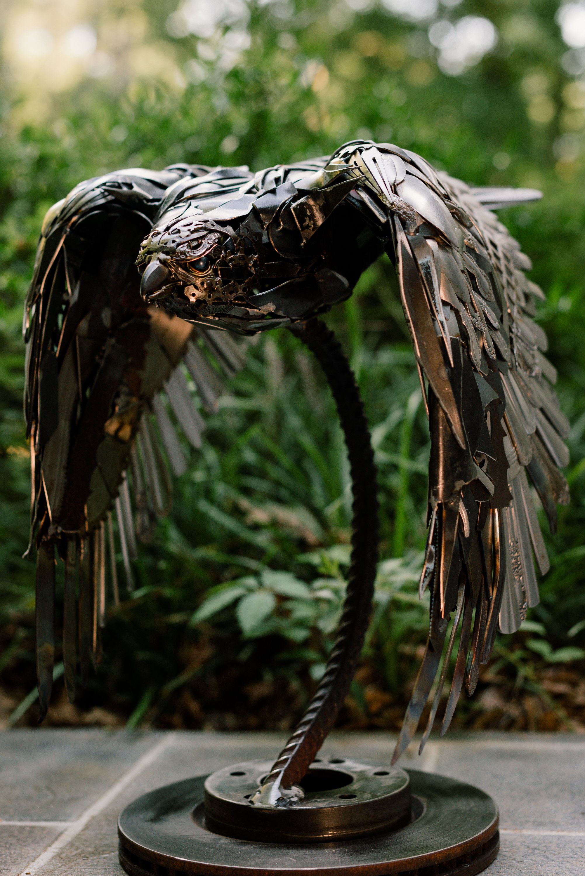 Large Hawk — Bruised Reed Studio