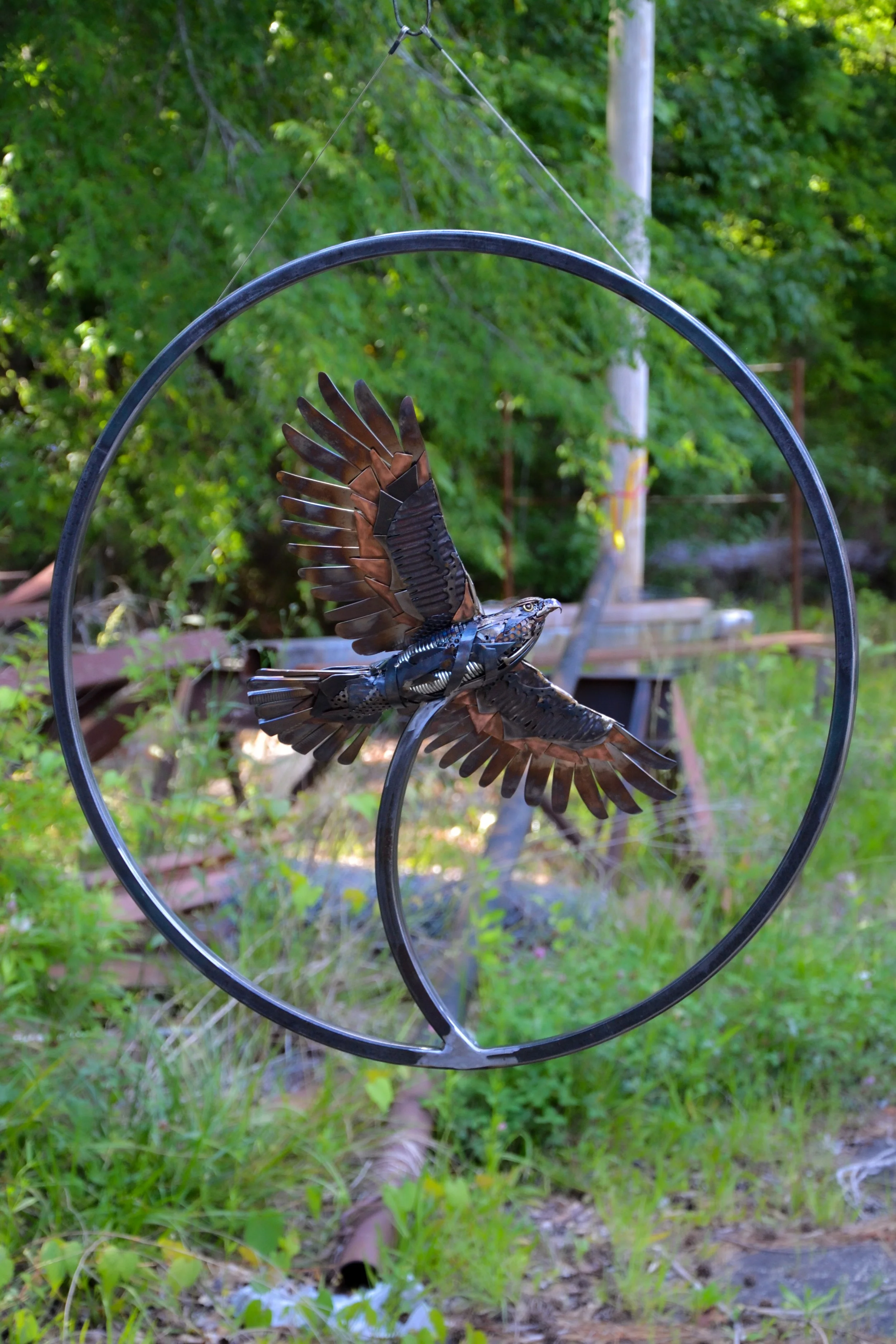 Hawk in Hoop-13.jpg