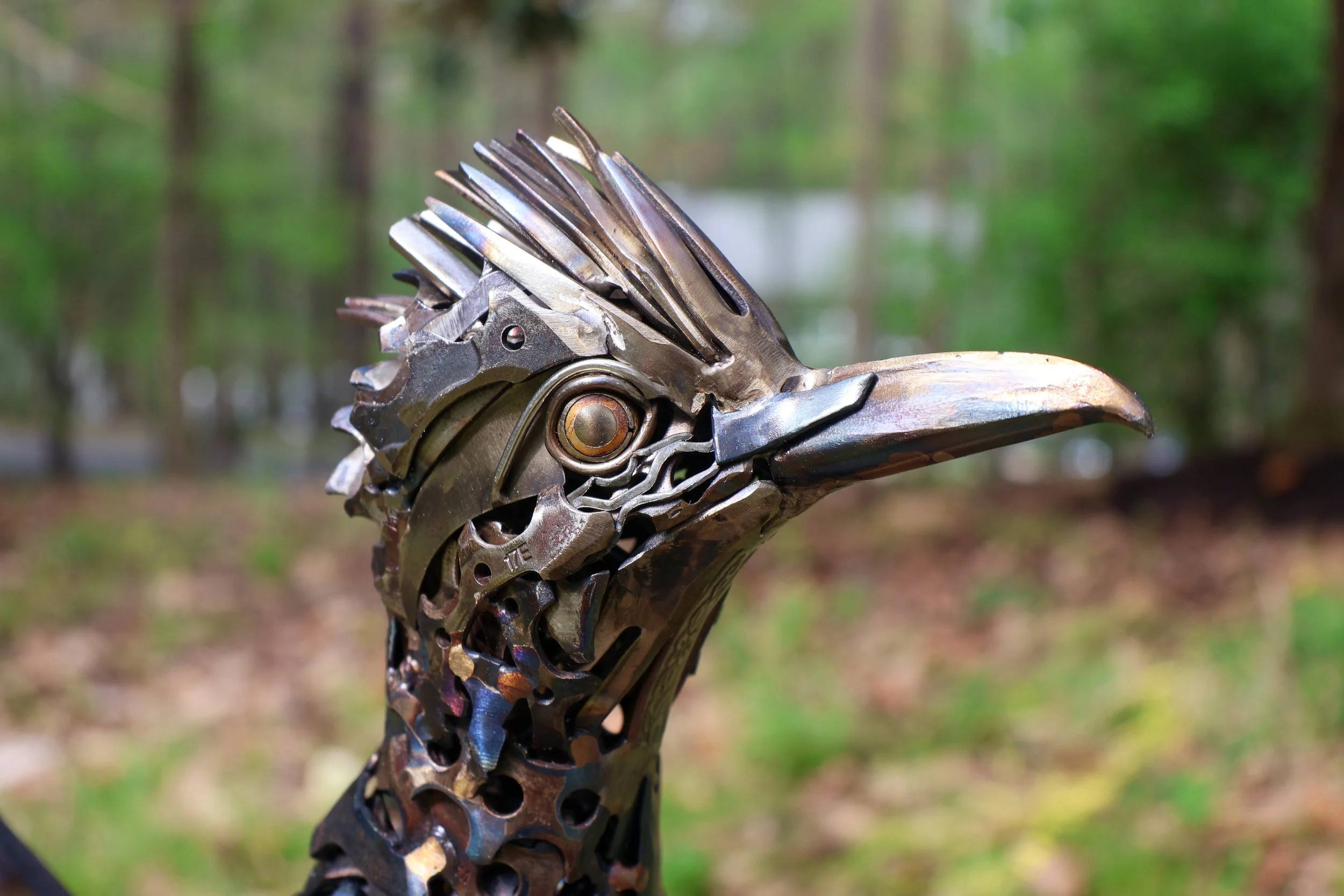 Road Runner-15.jpg