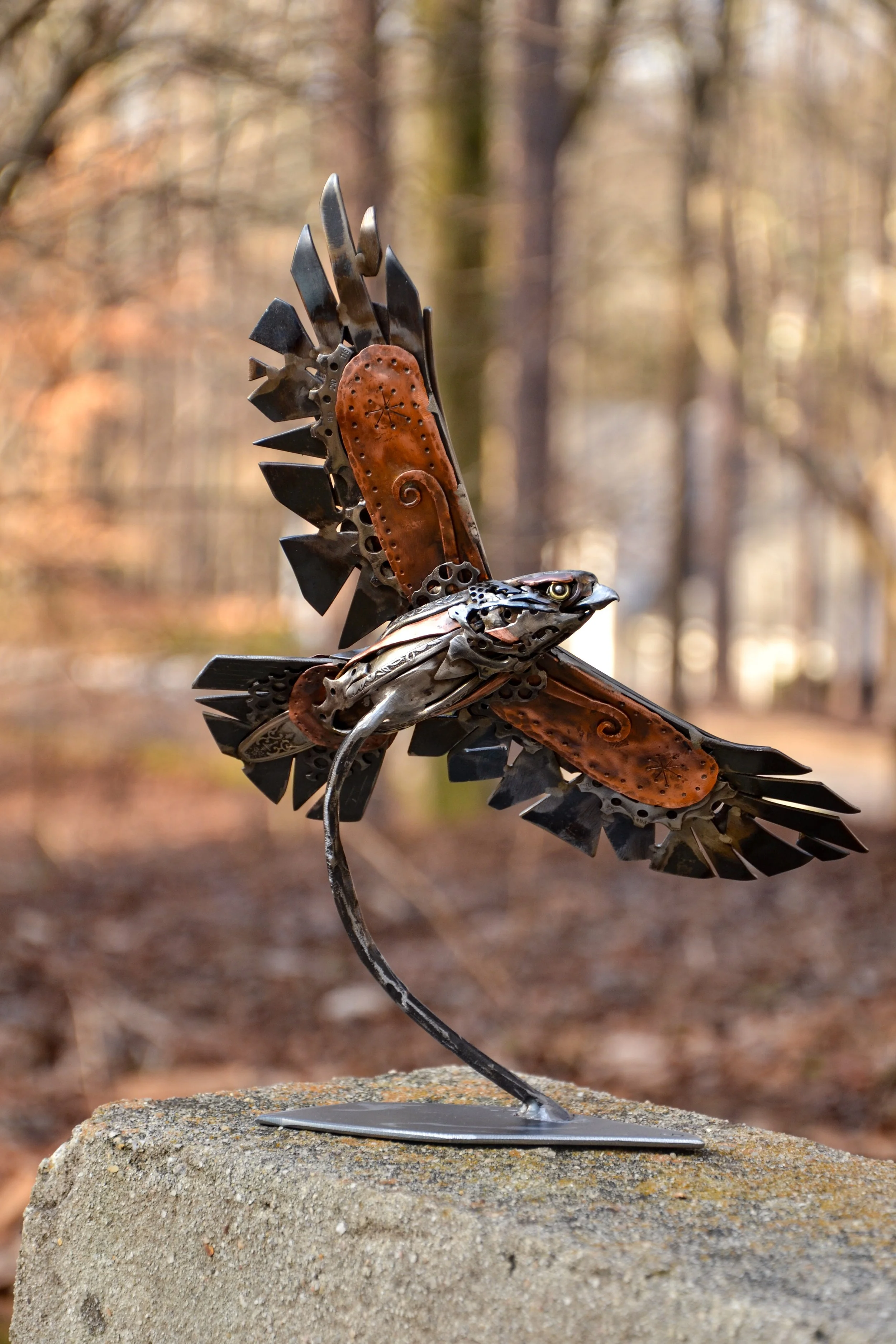 Flying Hawk-03.jpg