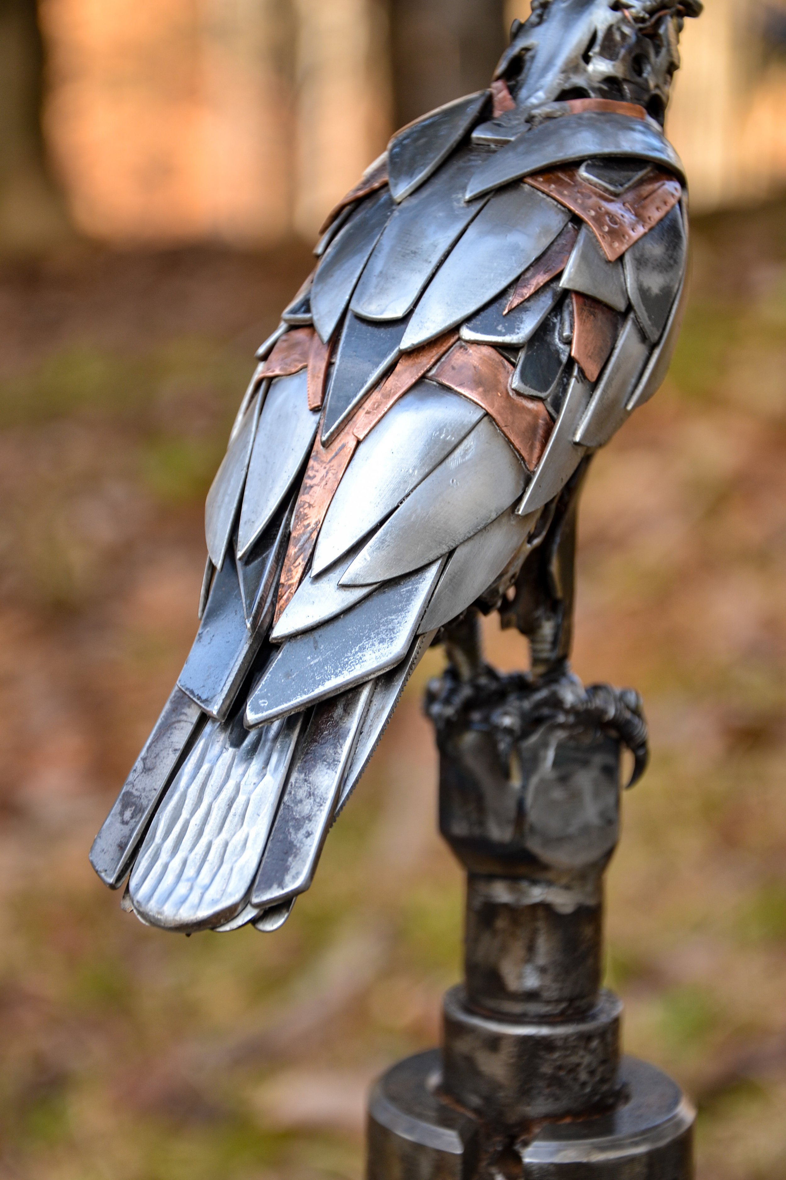 Crouched Hawk-07.jpg