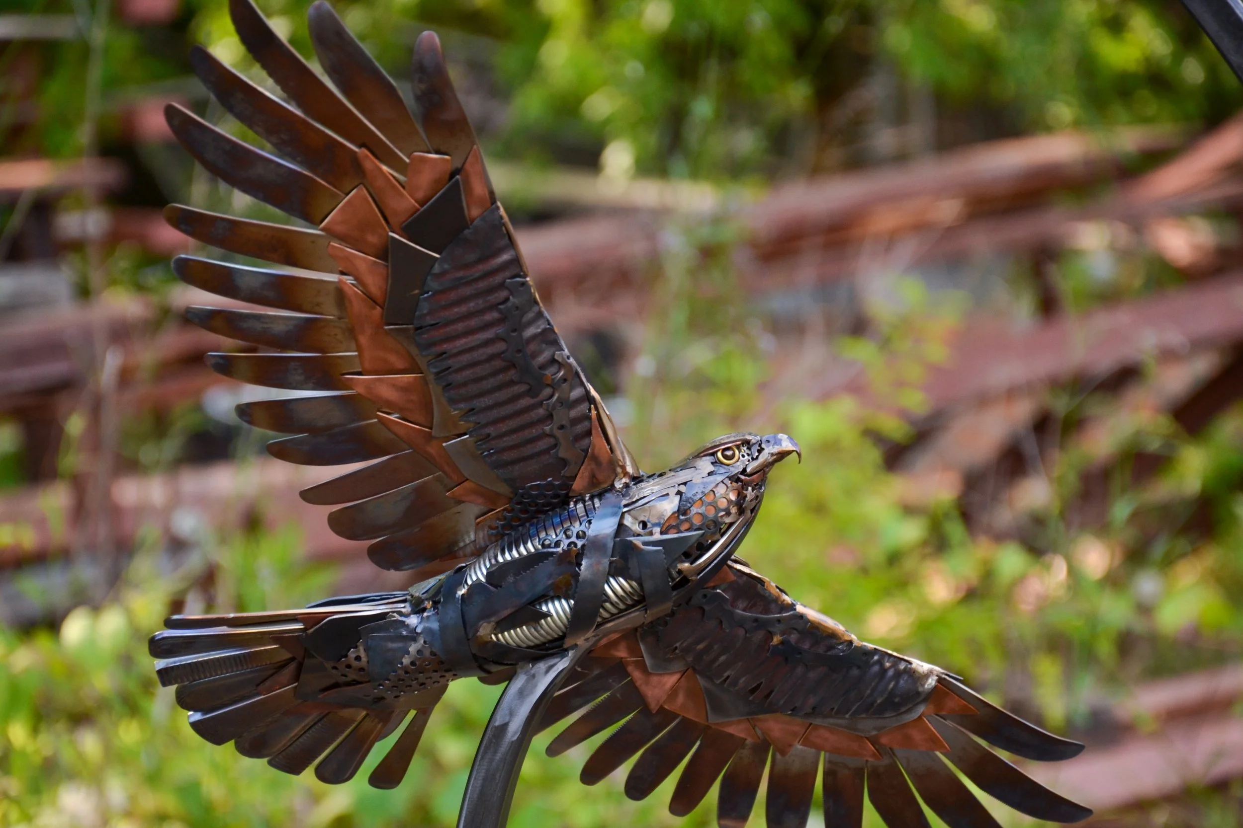 Hawk in Hoop-05.jpg
