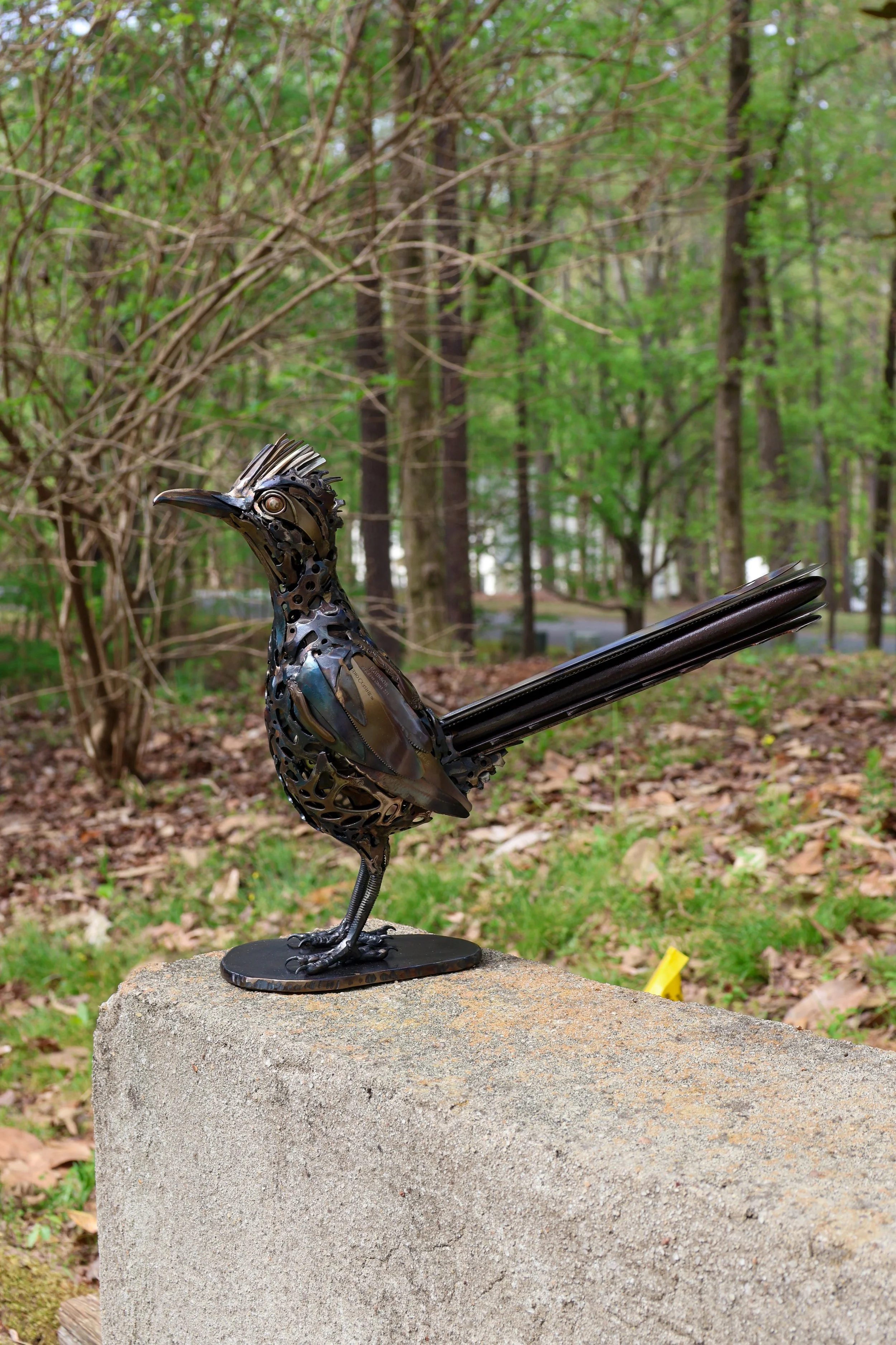 Road Runner-18.jpg