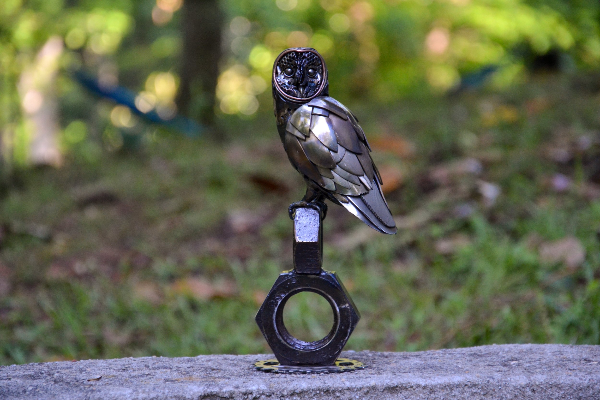 Barn Owl-04.jpg