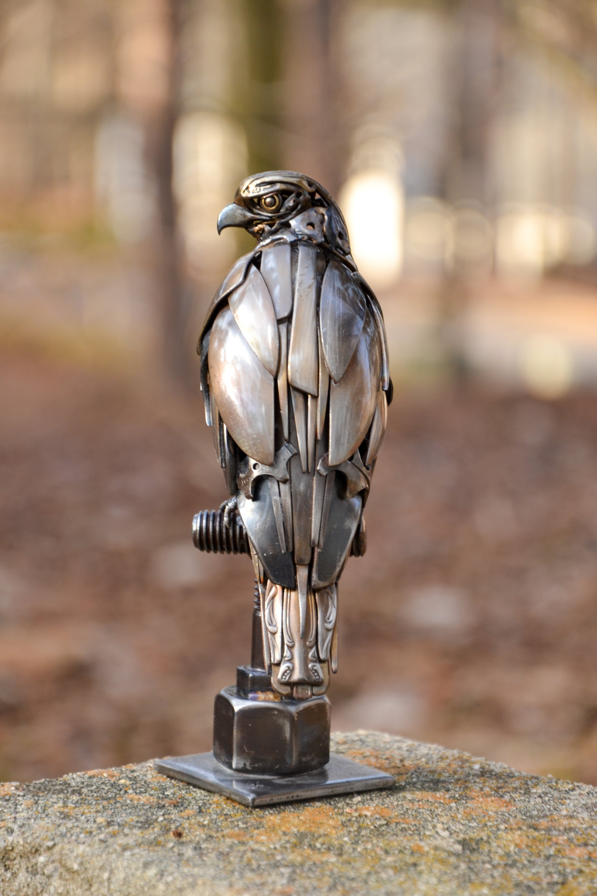 Perched Hawk-1.jpg