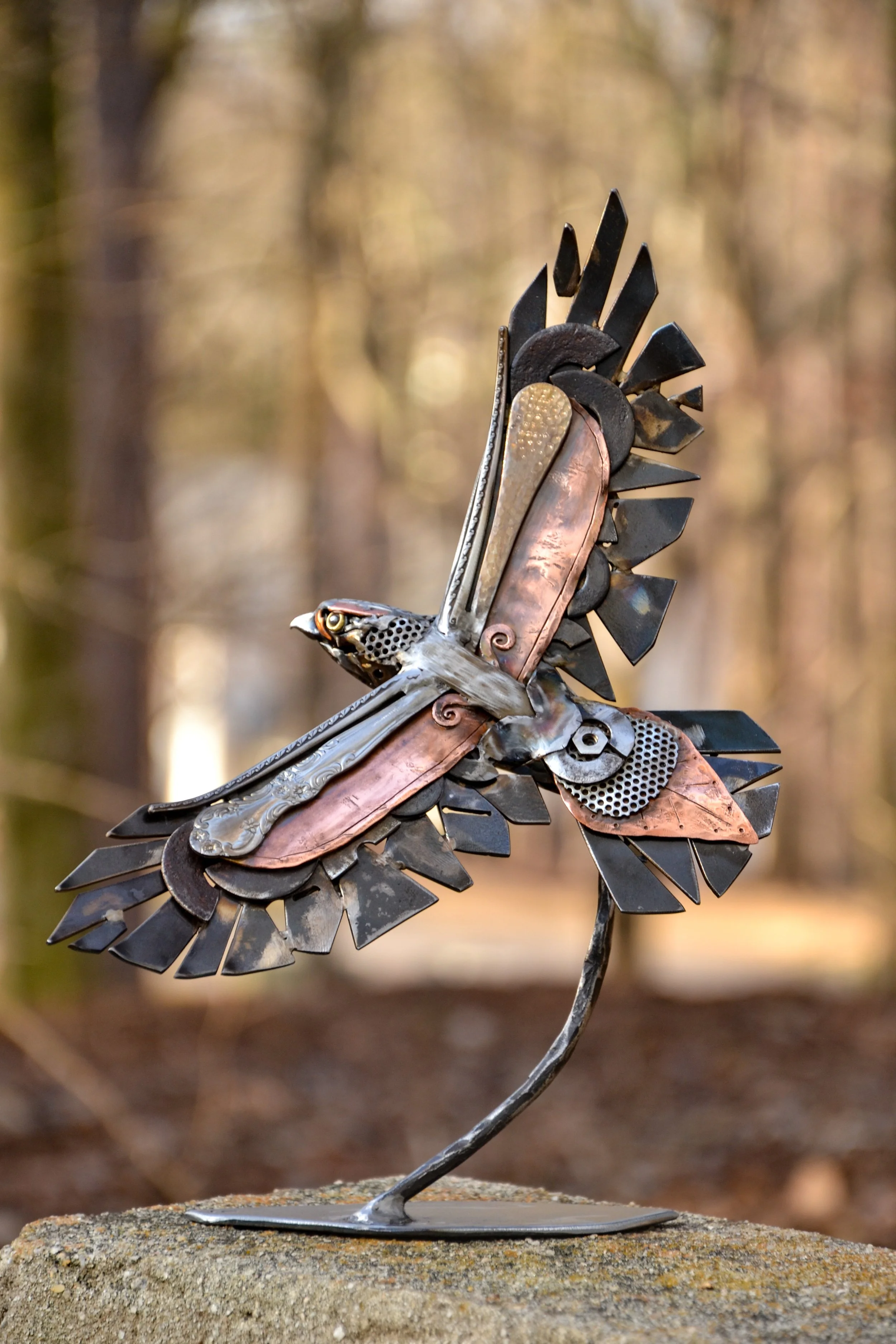 Flying Hawk-10.jpg