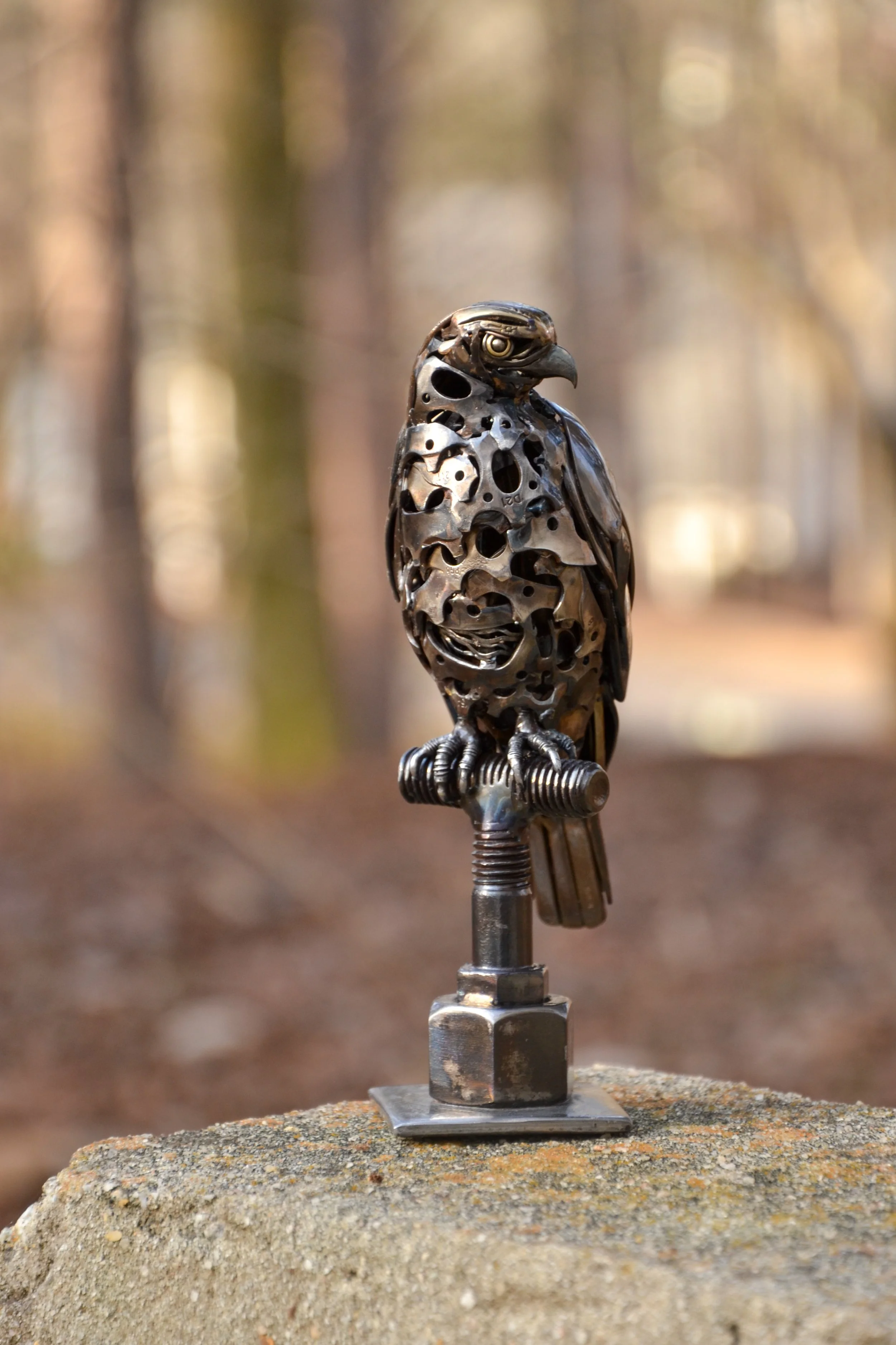 Perched Hawk-5.jpg