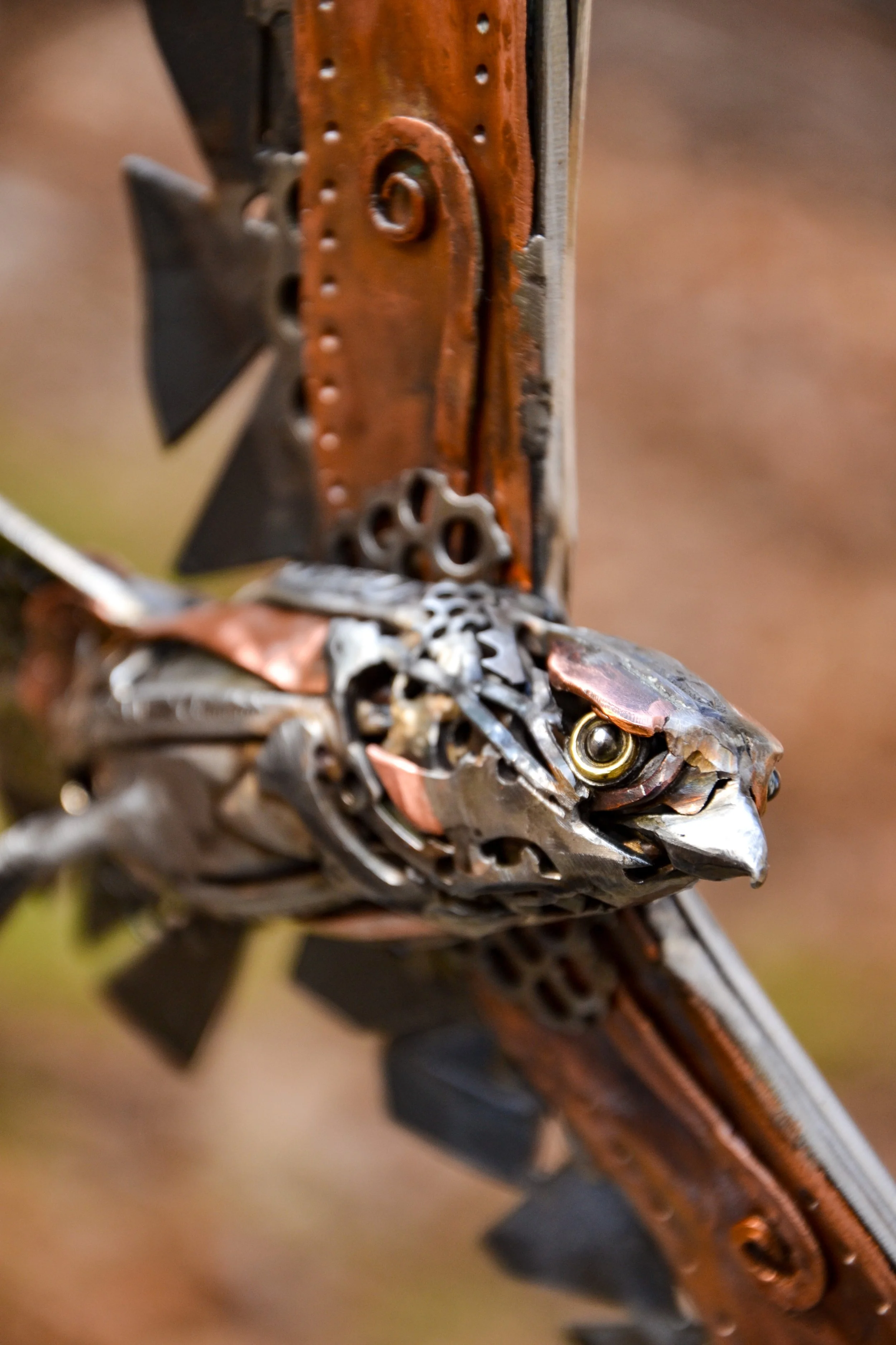 Flying Hawk-14.jpg