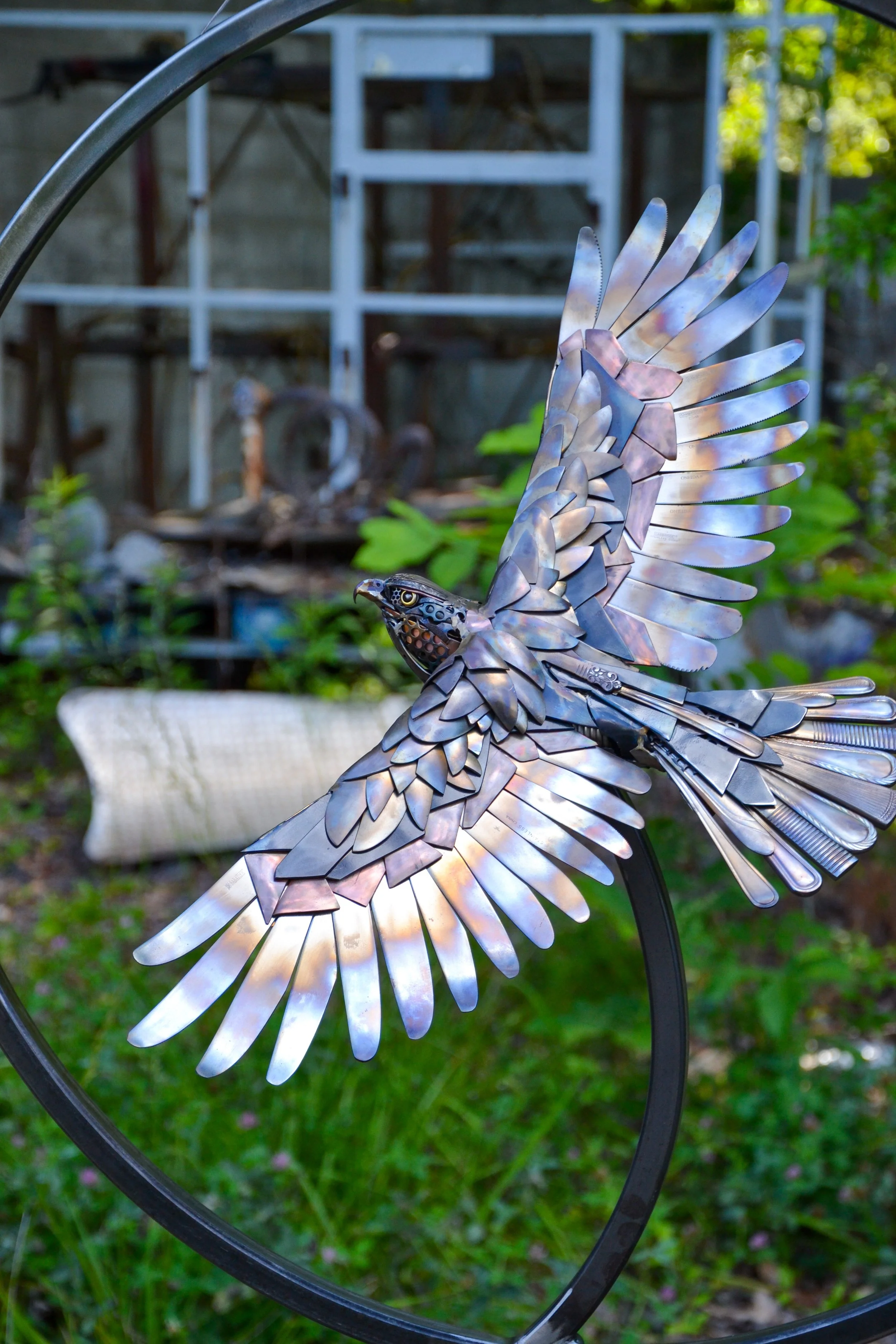 Hawk in Hoop-15.jpg