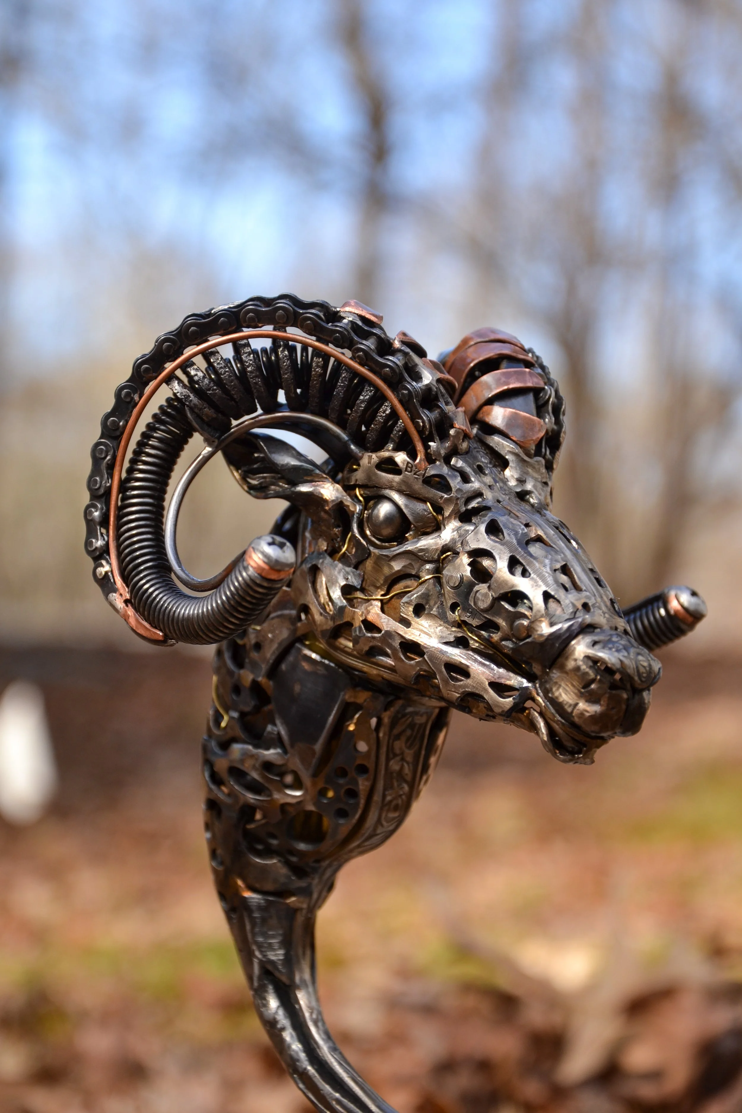 BH Sheep-11.jpg
