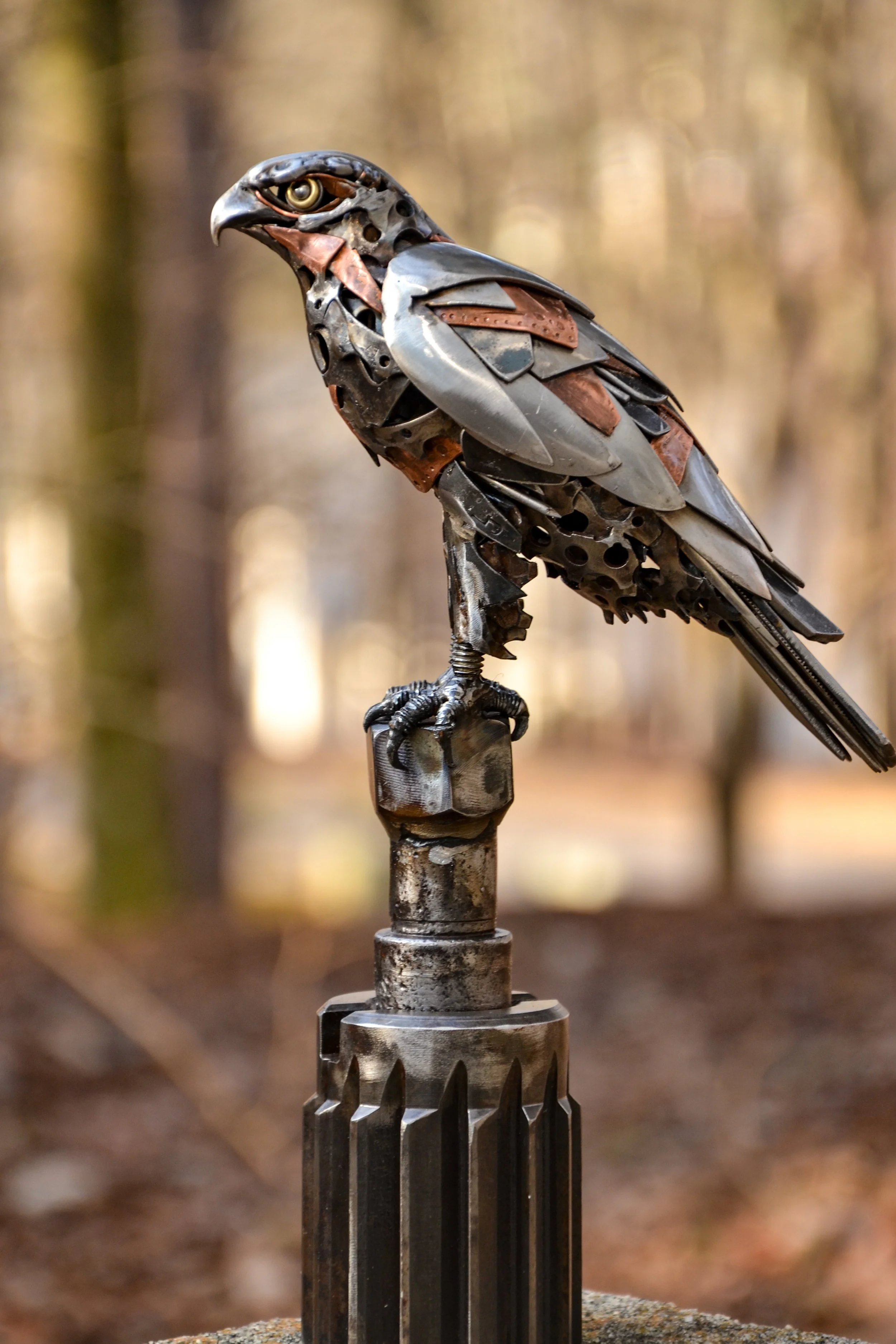 Crouched Hawk-12.jpg