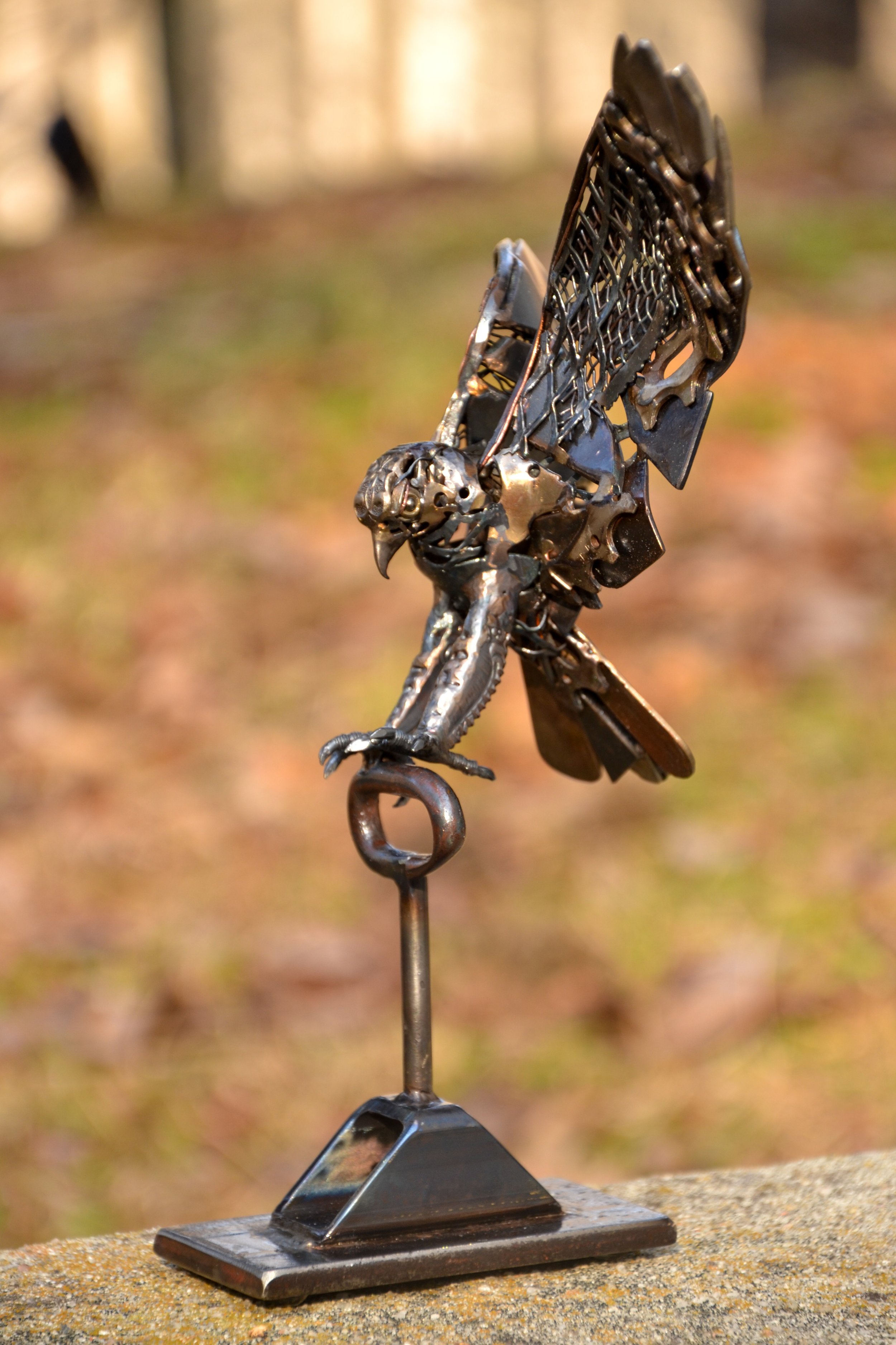 Landing Hawk-4.jpg