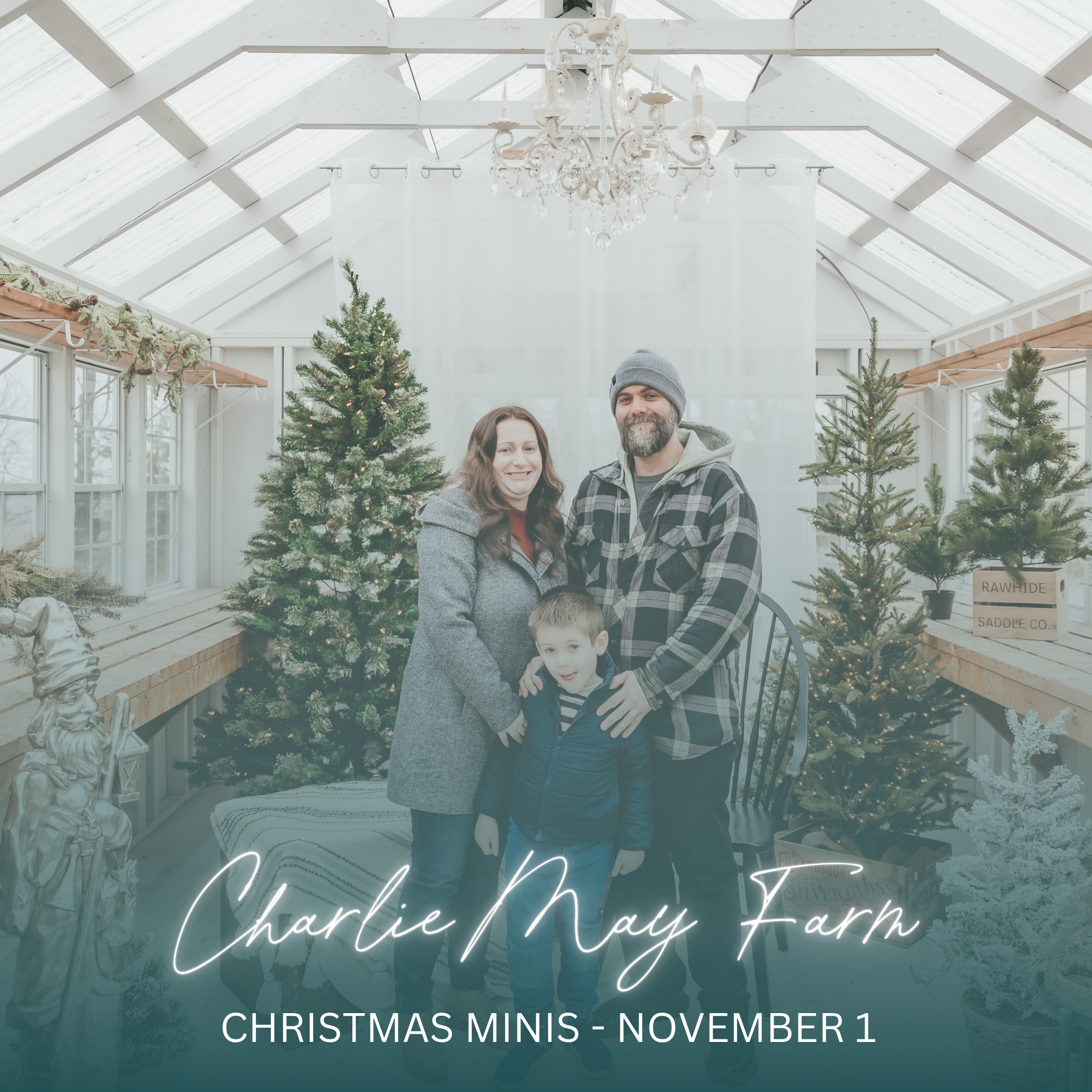 WEBSITE - MINI GRAPHIC-11.png