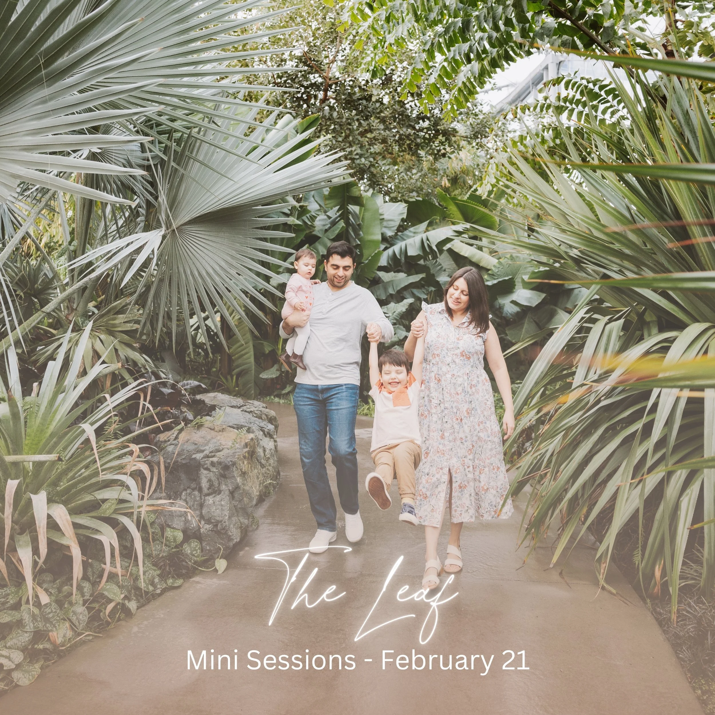 WEBSITE - MINI GRAPHIC-3.jpg