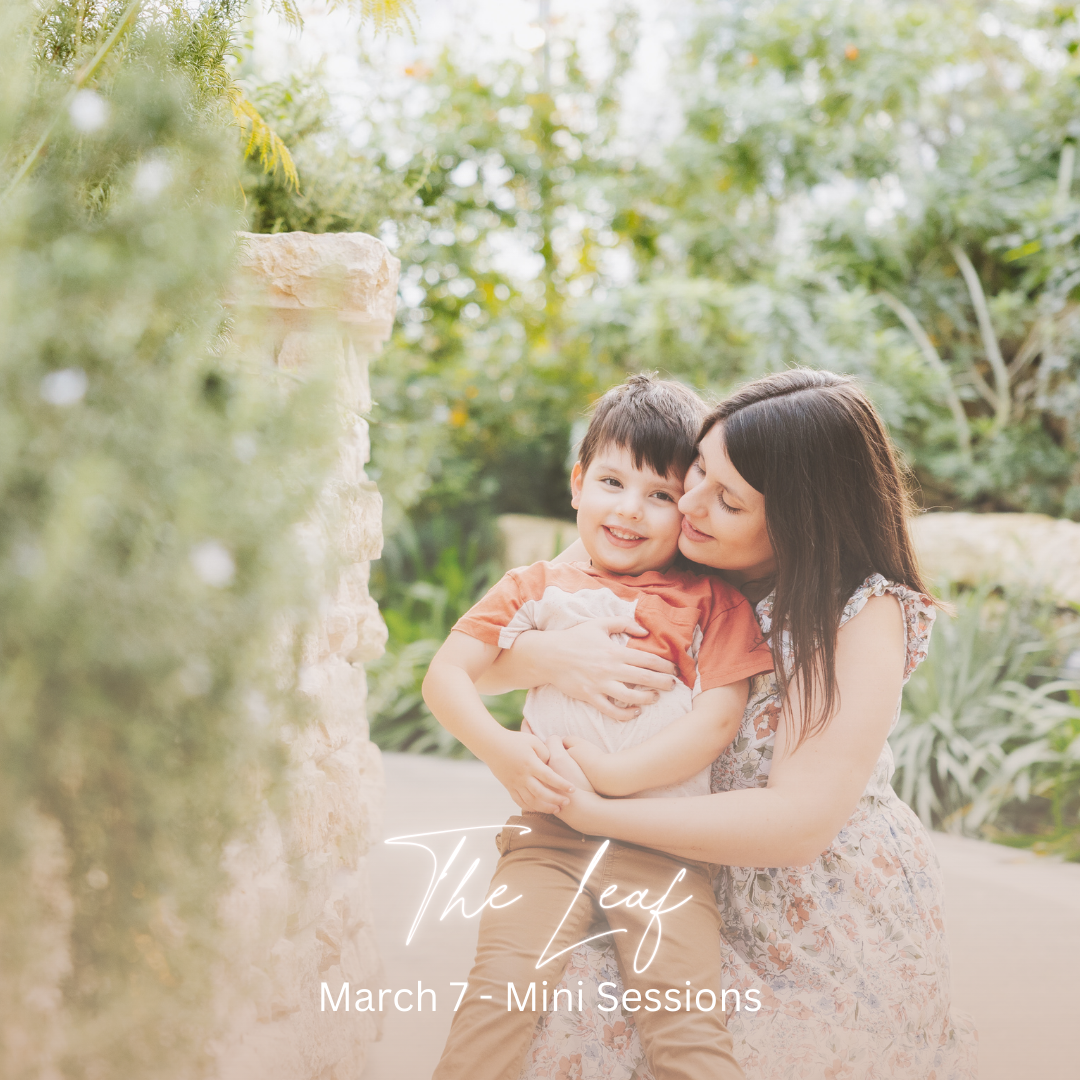 WEBSITE - MINI GRAPHIC-2.png