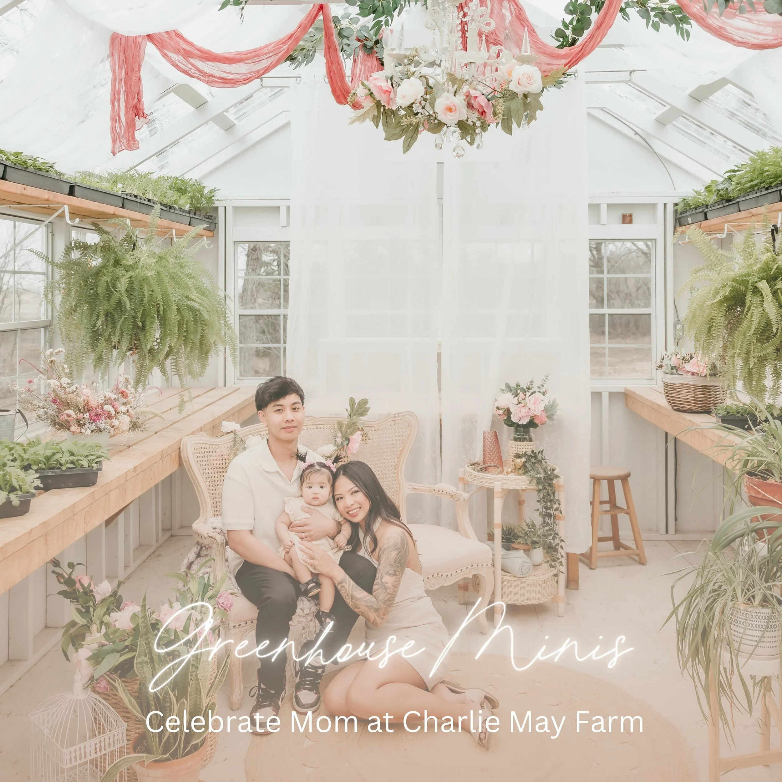 WEBSITE - MINI GRAPHIC-4.jpg