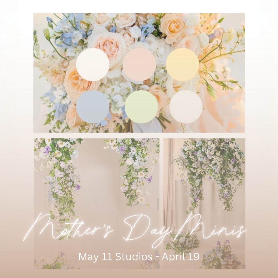 WEBSITE - MINI GRAPHIC-3.png