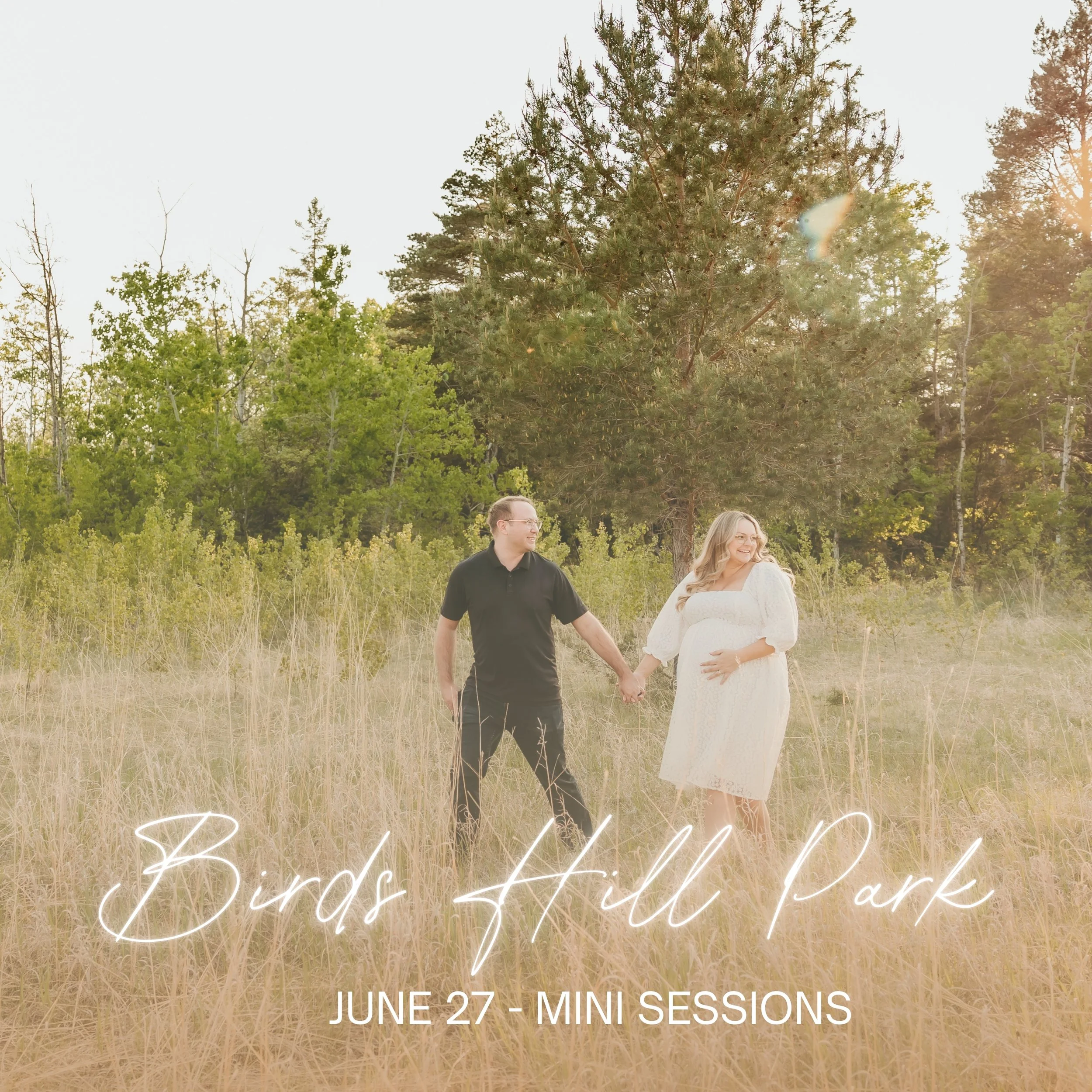 WEBSITE - MINI GRAPHIC-4.jpg