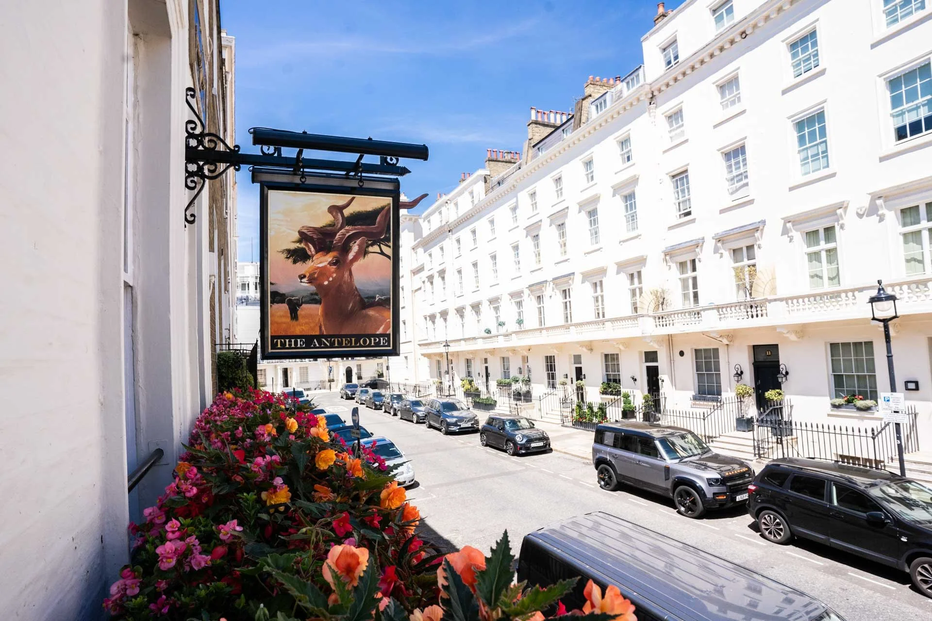 01 Antelope-1.jpg (Copy)