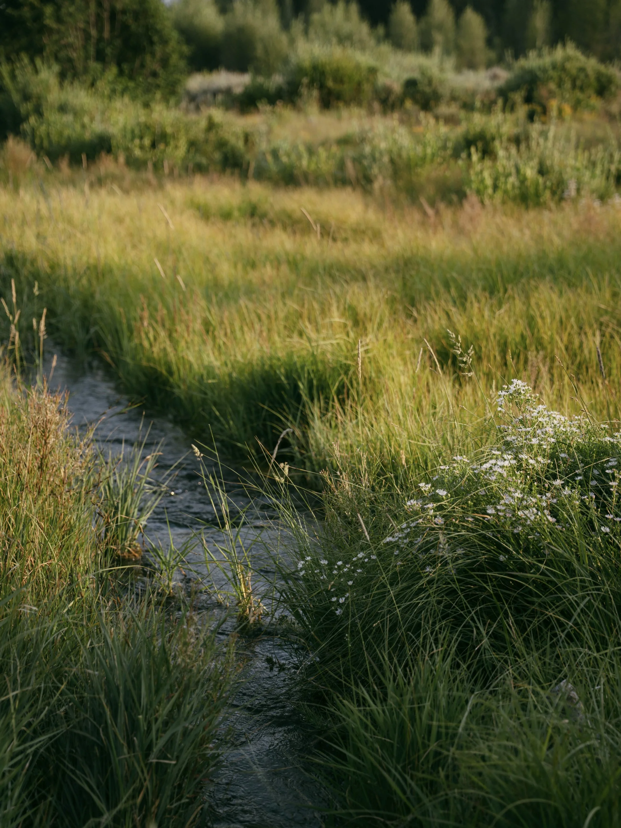 SCRL_0012.JPG