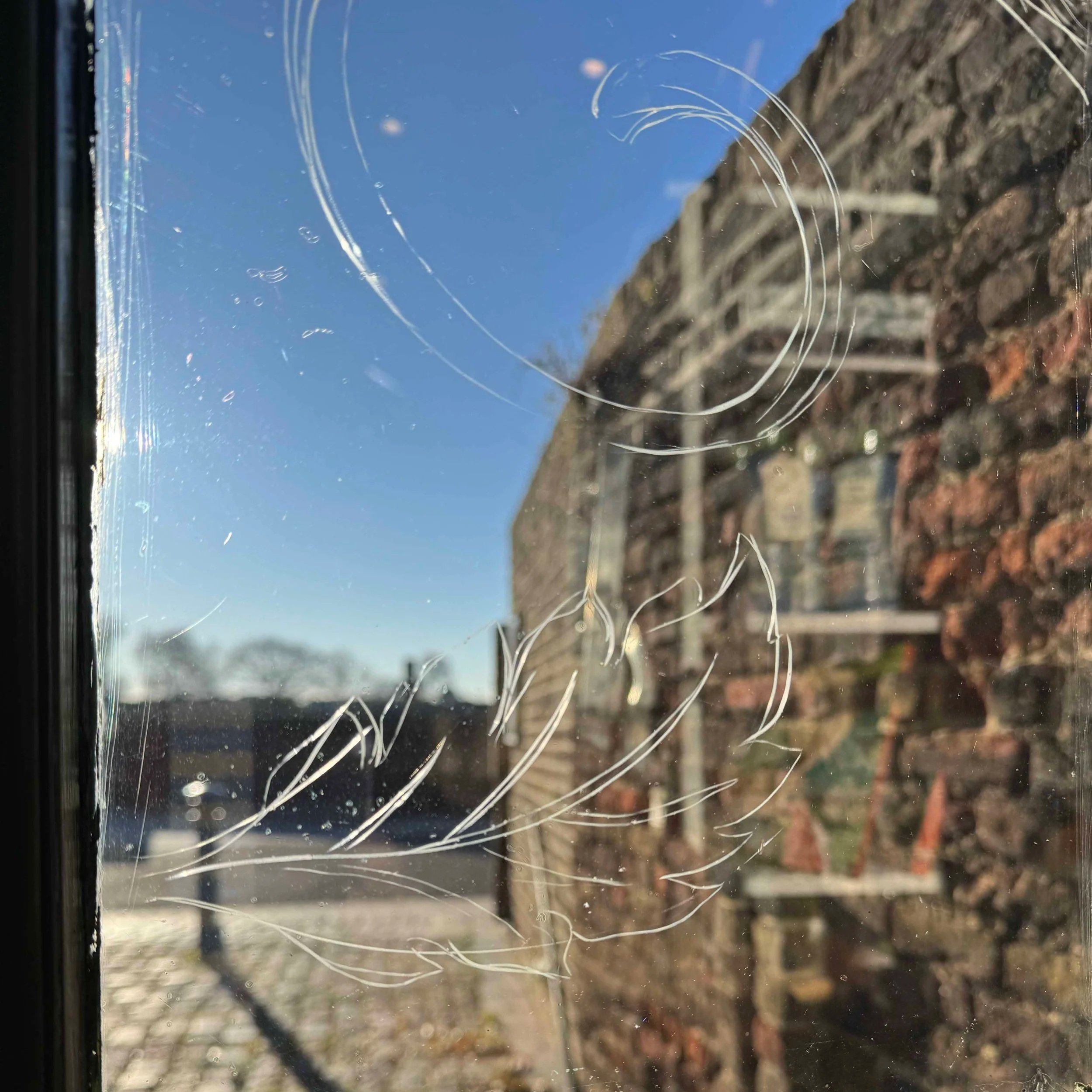 Close up of a window pane with a flower and vine sketched out in white pencil